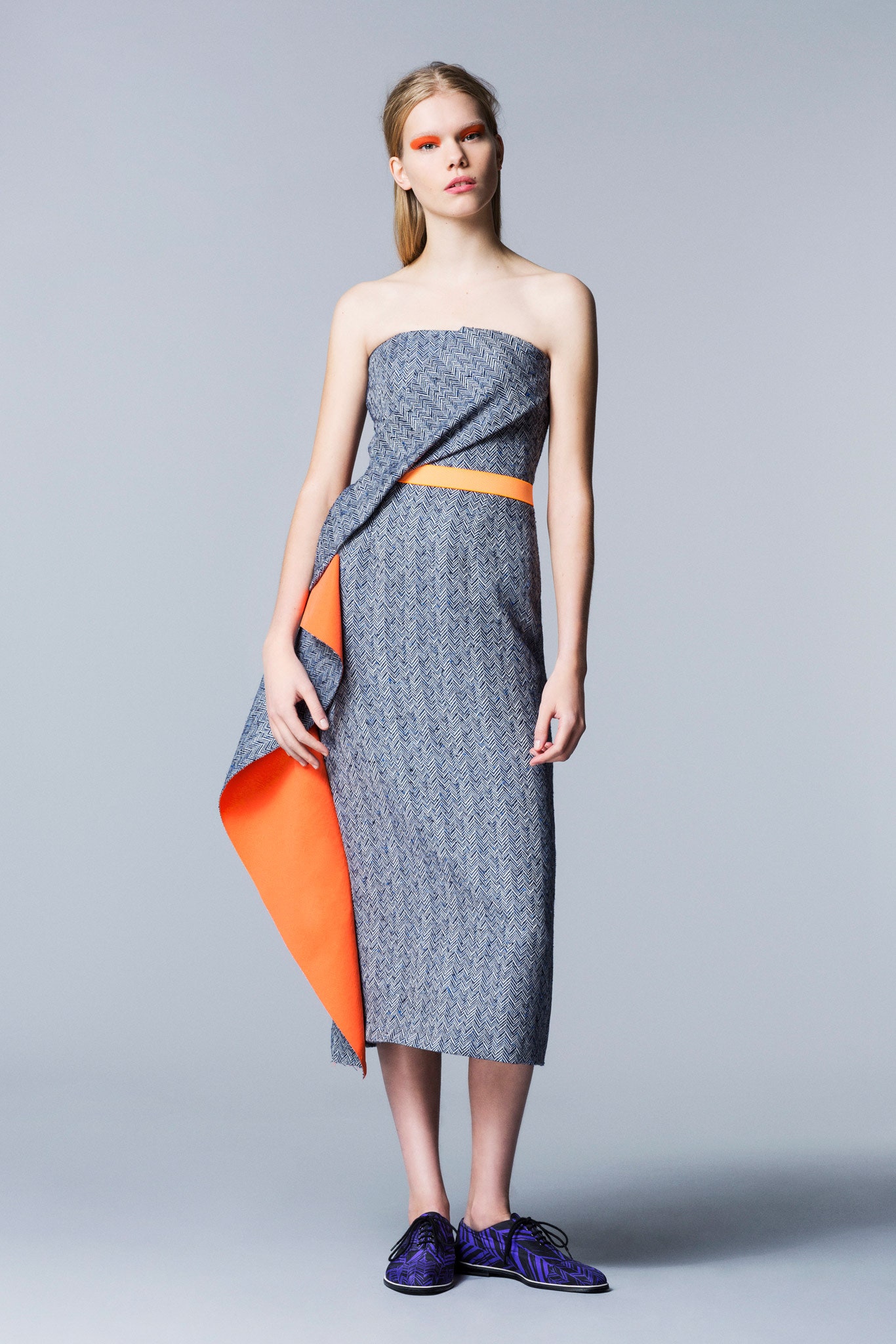 Roksanda F/W 14 Look 1