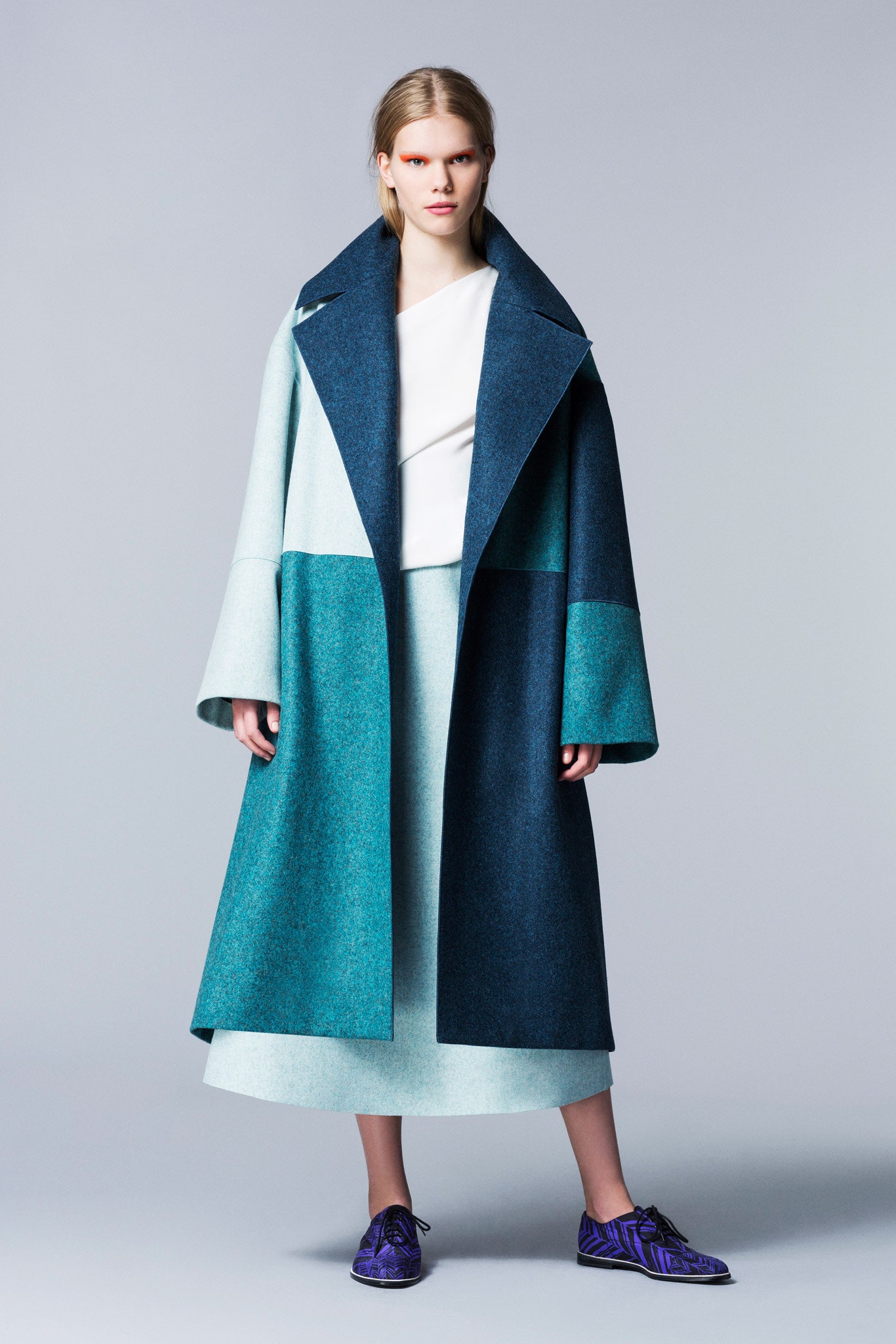 Roksanda F/W 14 Look 17