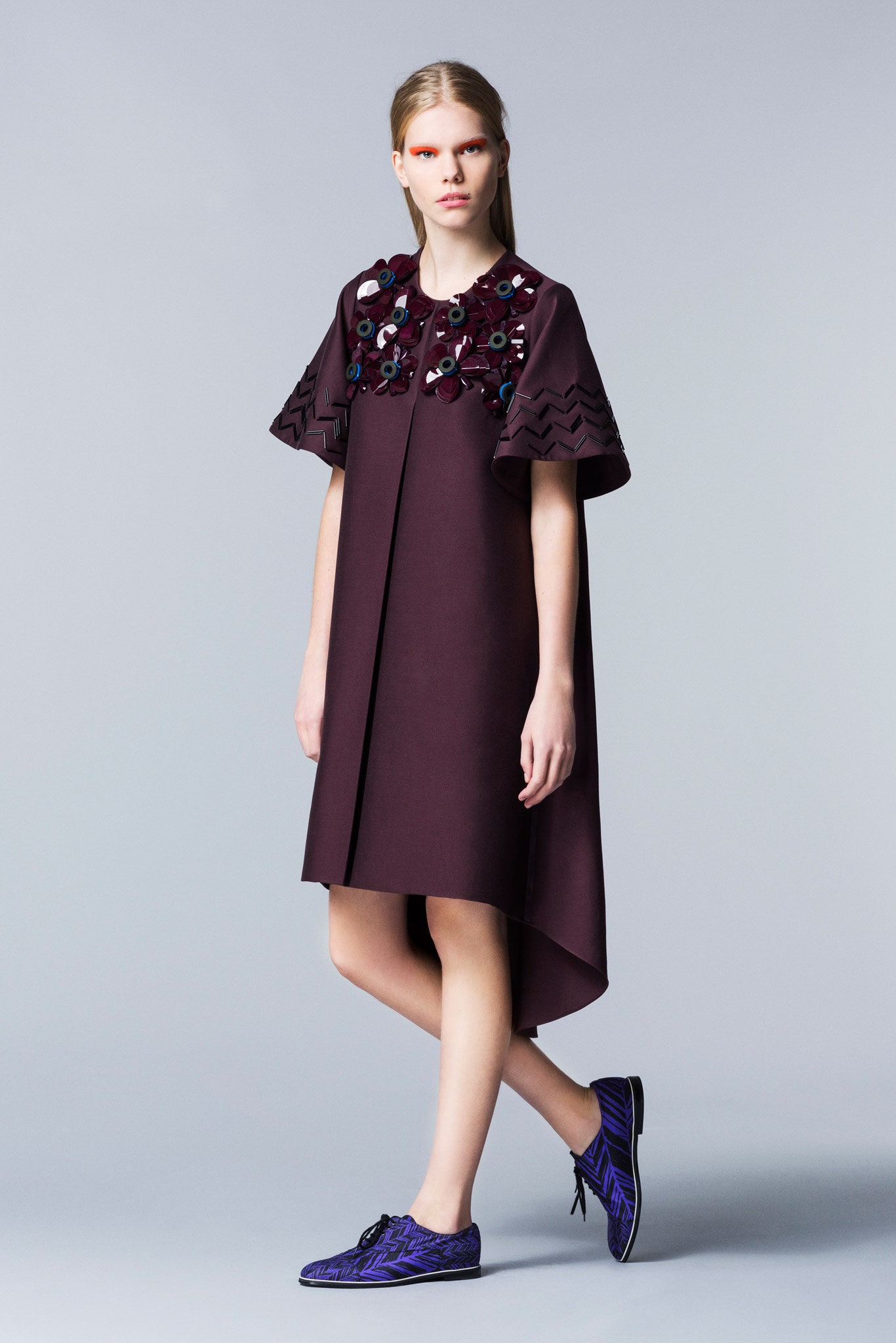 Roksanda F/W 14 Look 32