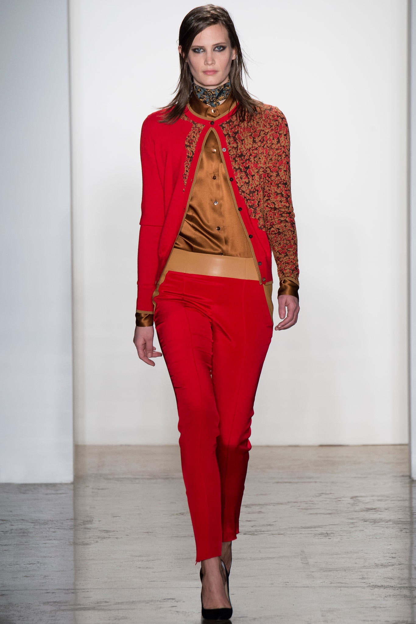 Sophie Theallet F/W 14 Look 2