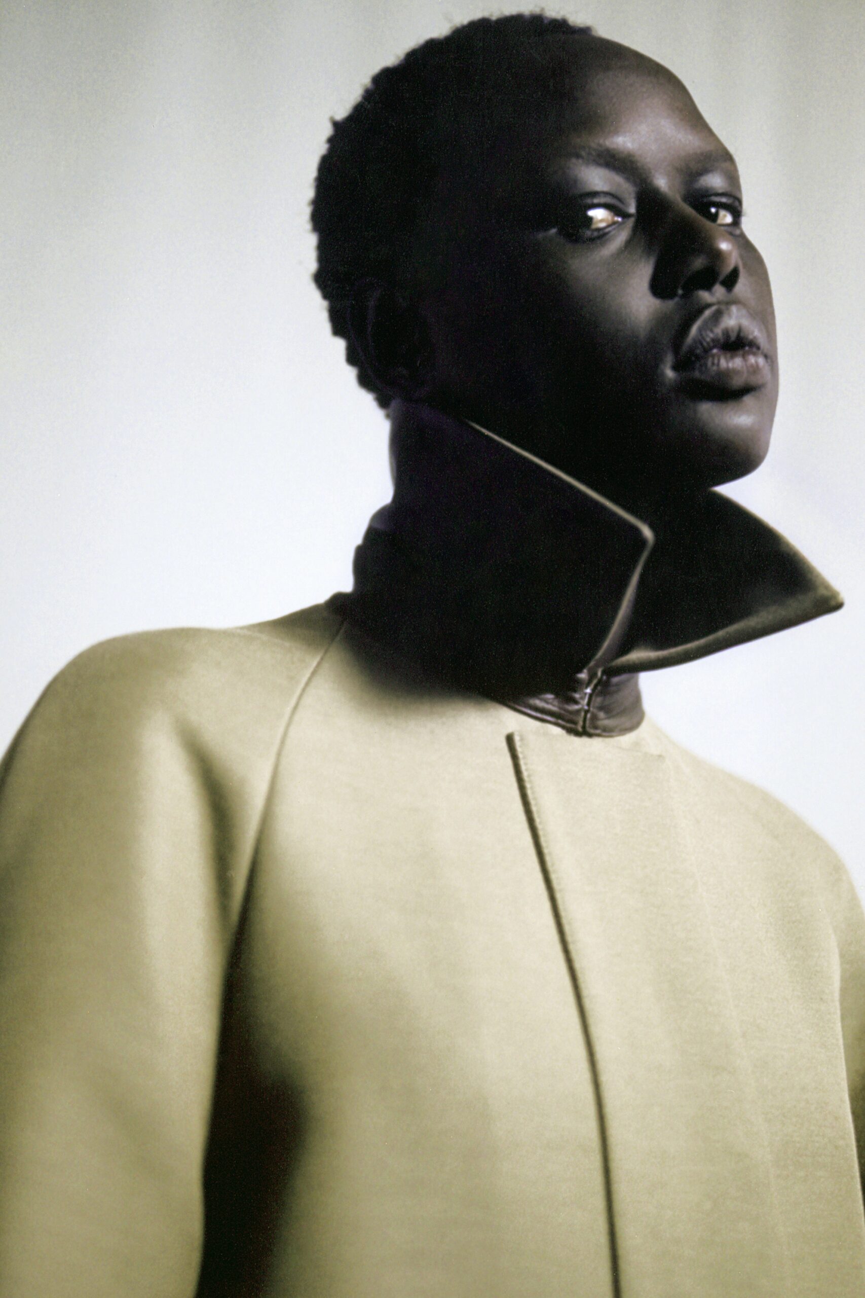 The Row F/W 19 Look 13