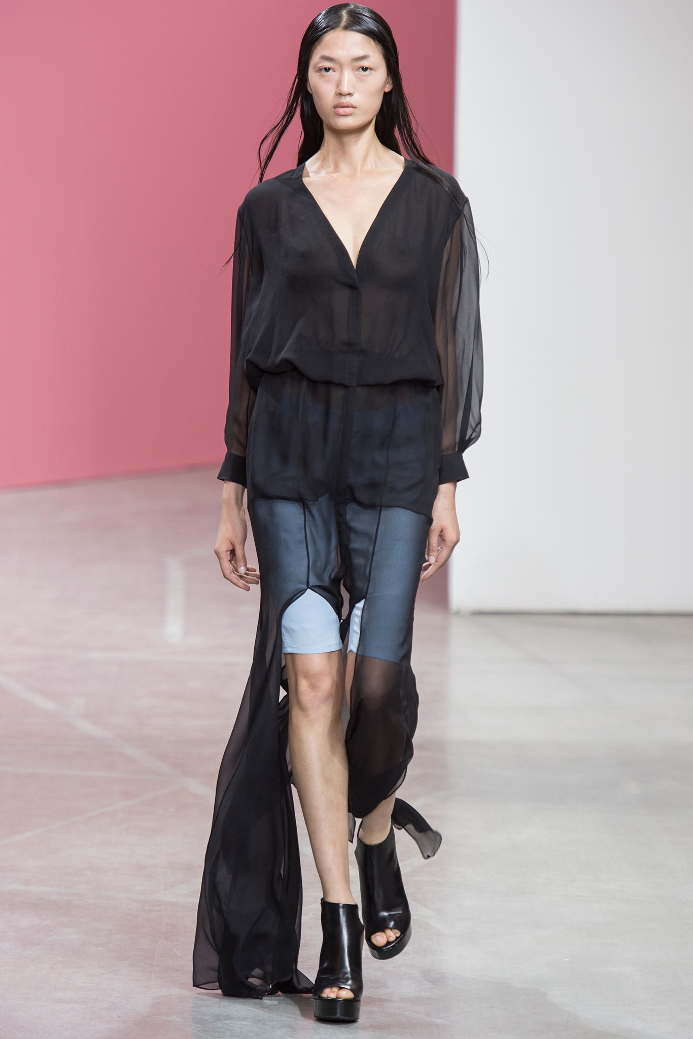 Theyskens' Theory S/S 14 Look 27