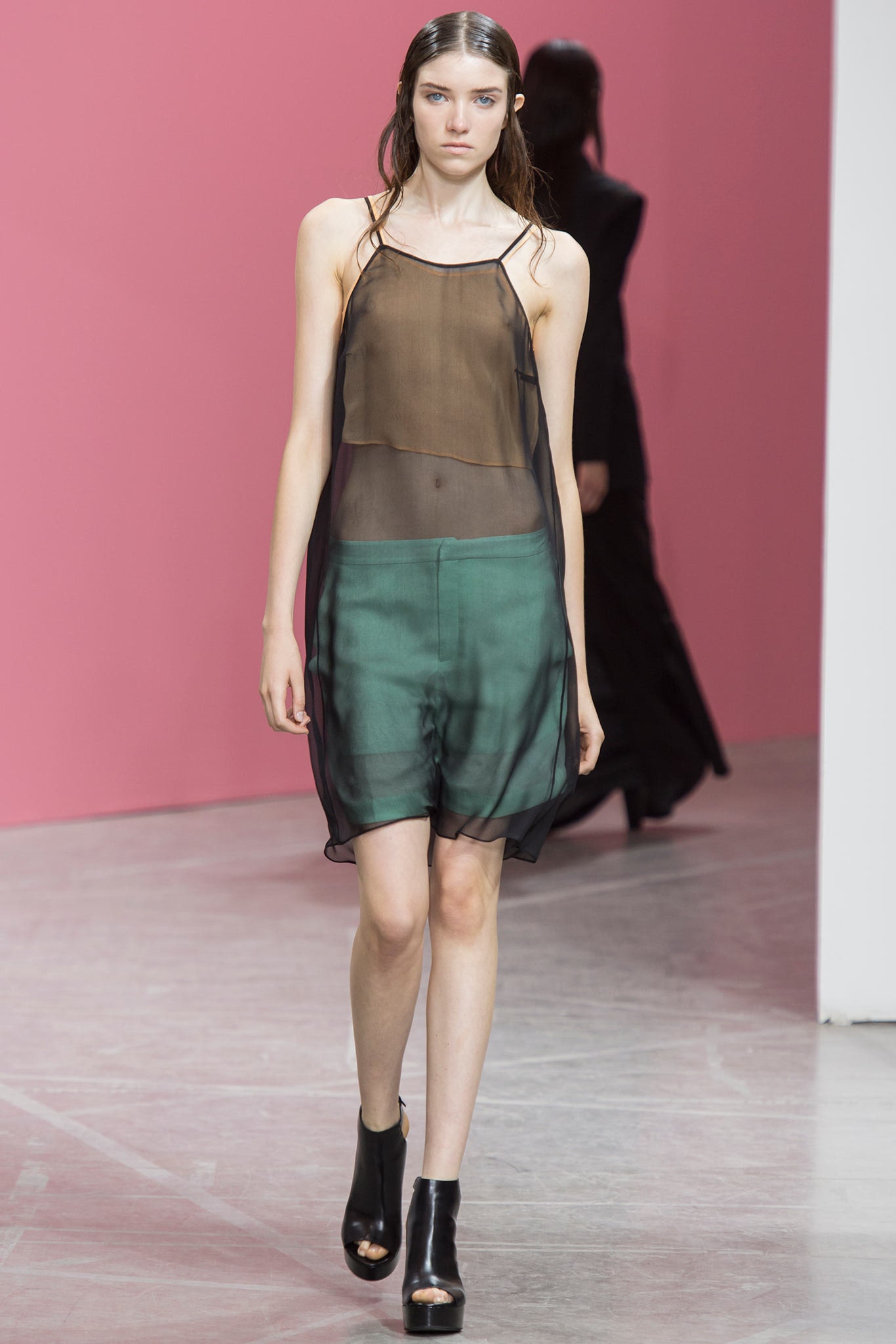 Theyskens' Theory S/S 14 Look 29