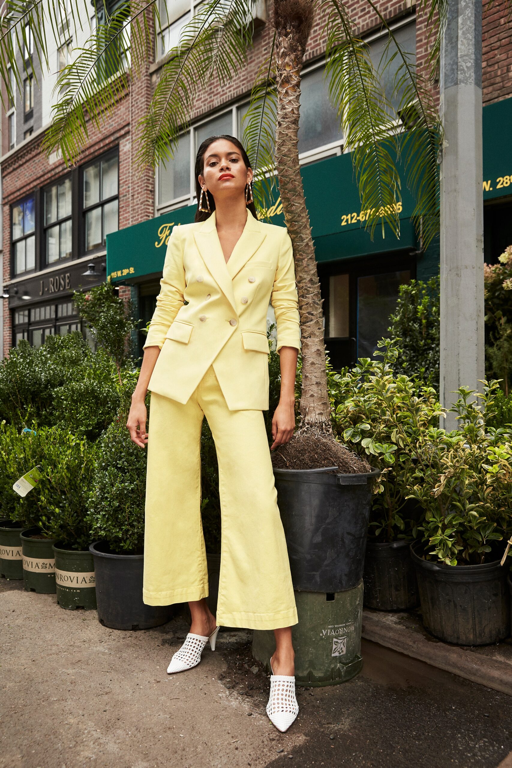 Veronica Beard S/S 19 Look 15