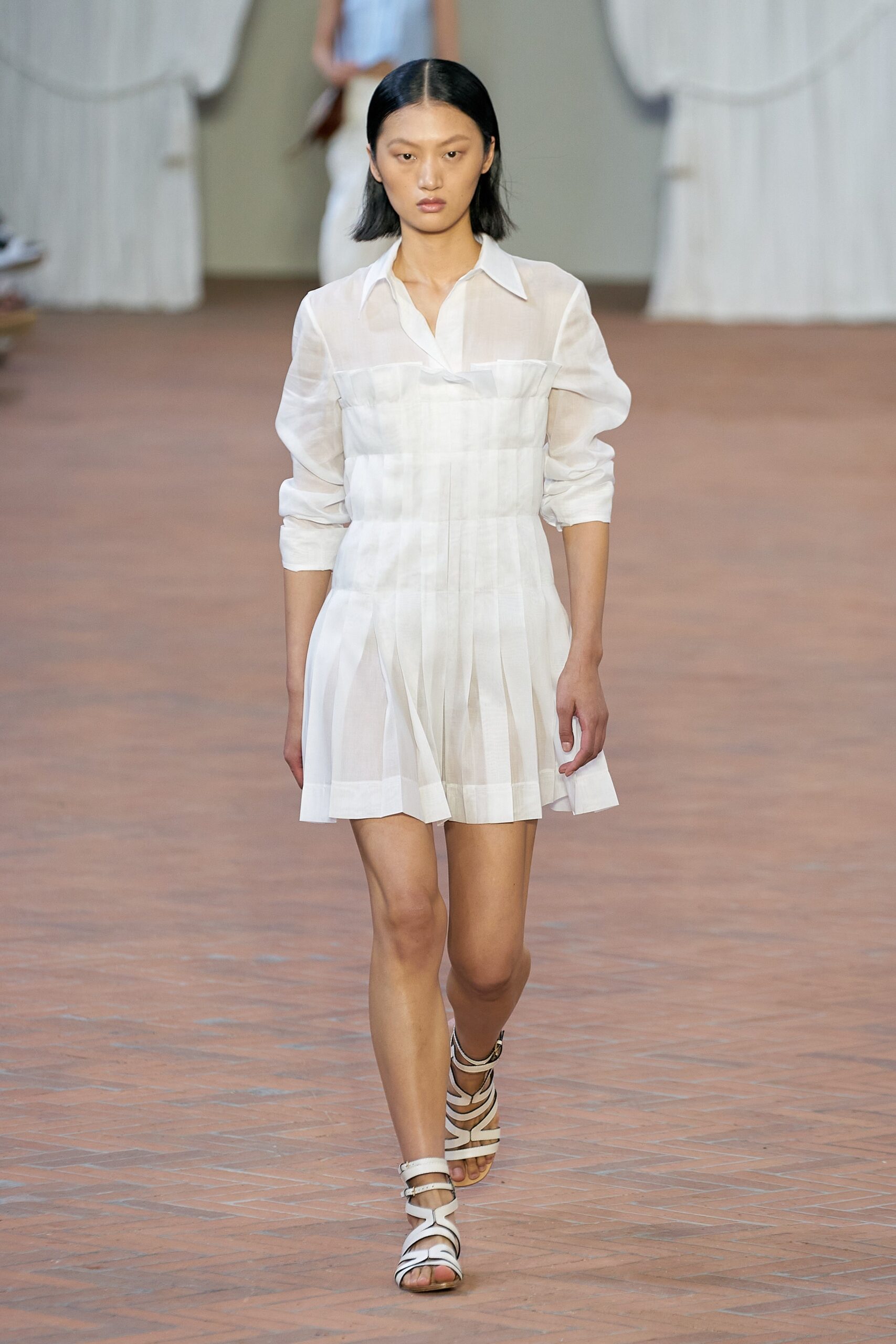 Alberta Ferretti S/S 24 Look 106