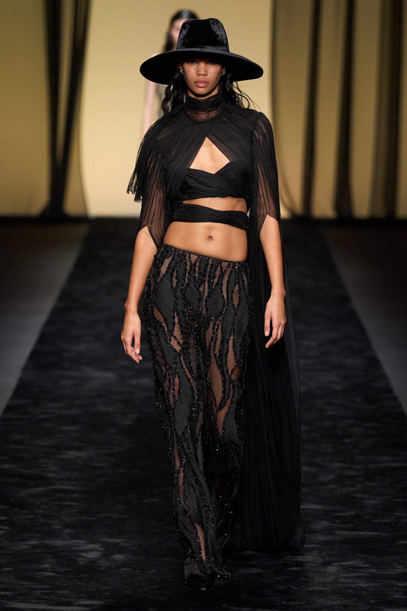 Alberta Ferretti F/W 23 Look 531