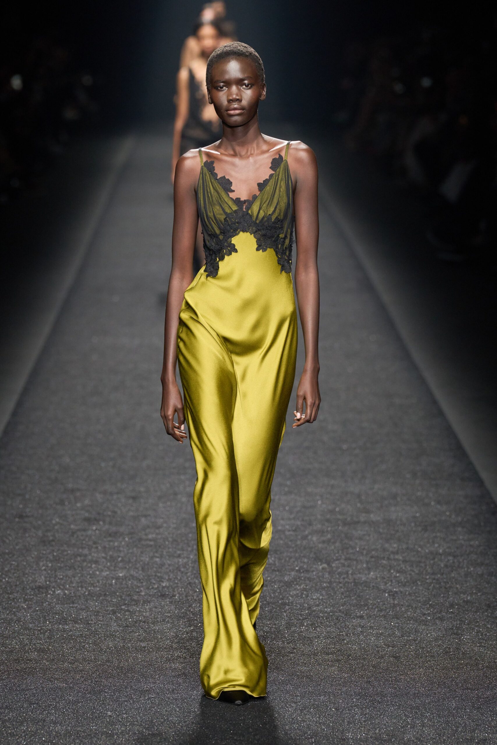 Alberta Ferretti F/W 24 Look 324