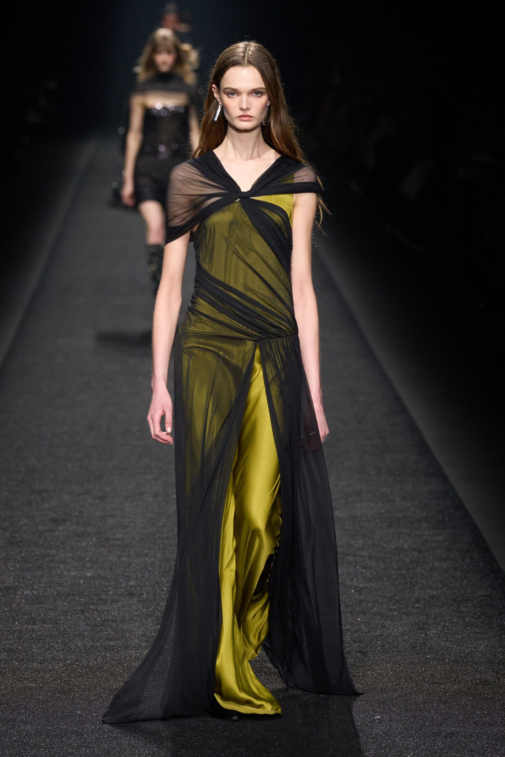 Alberta Ferretti F/W 24 Look 370