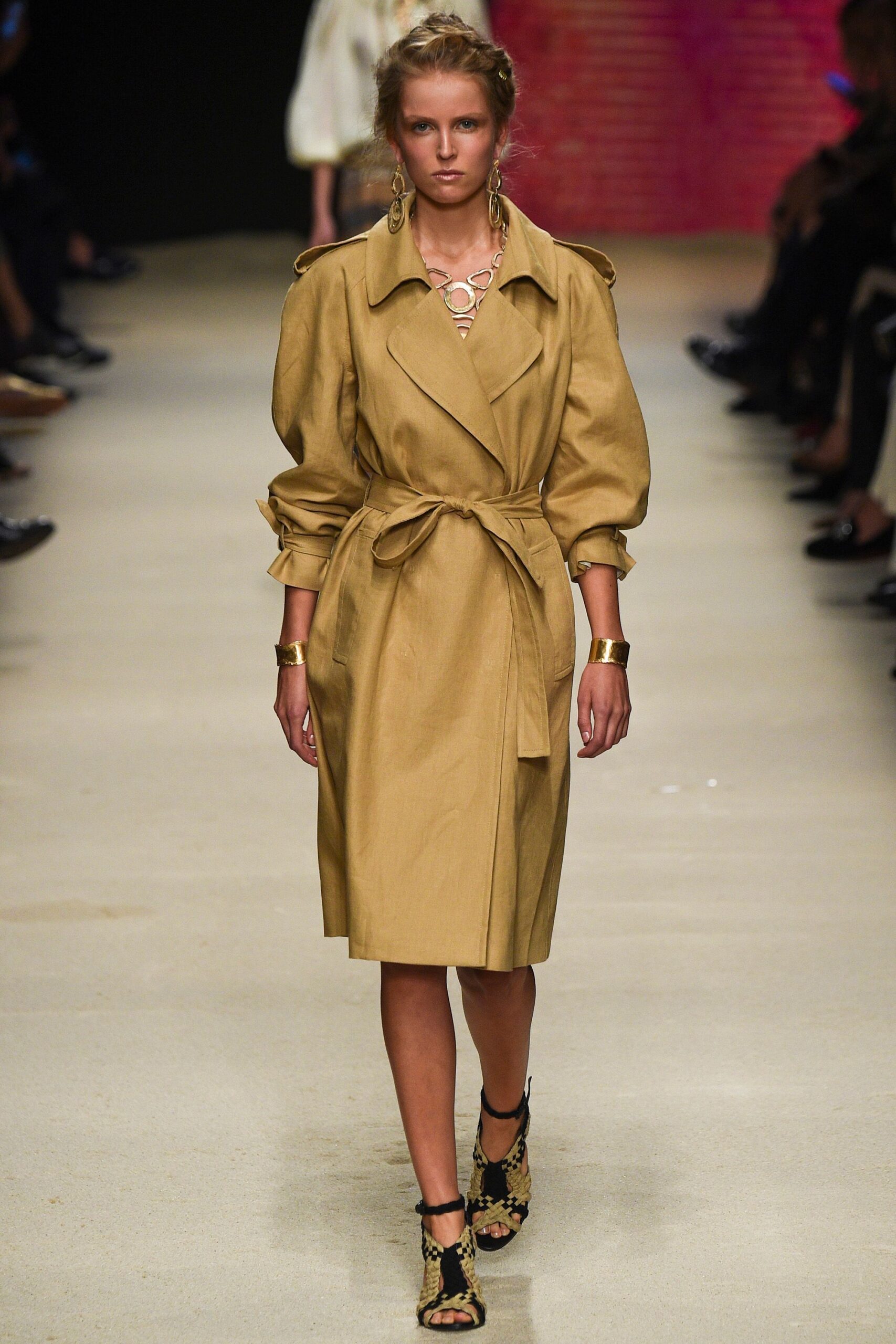 Alberta Ferretti S/S 16 Look 284