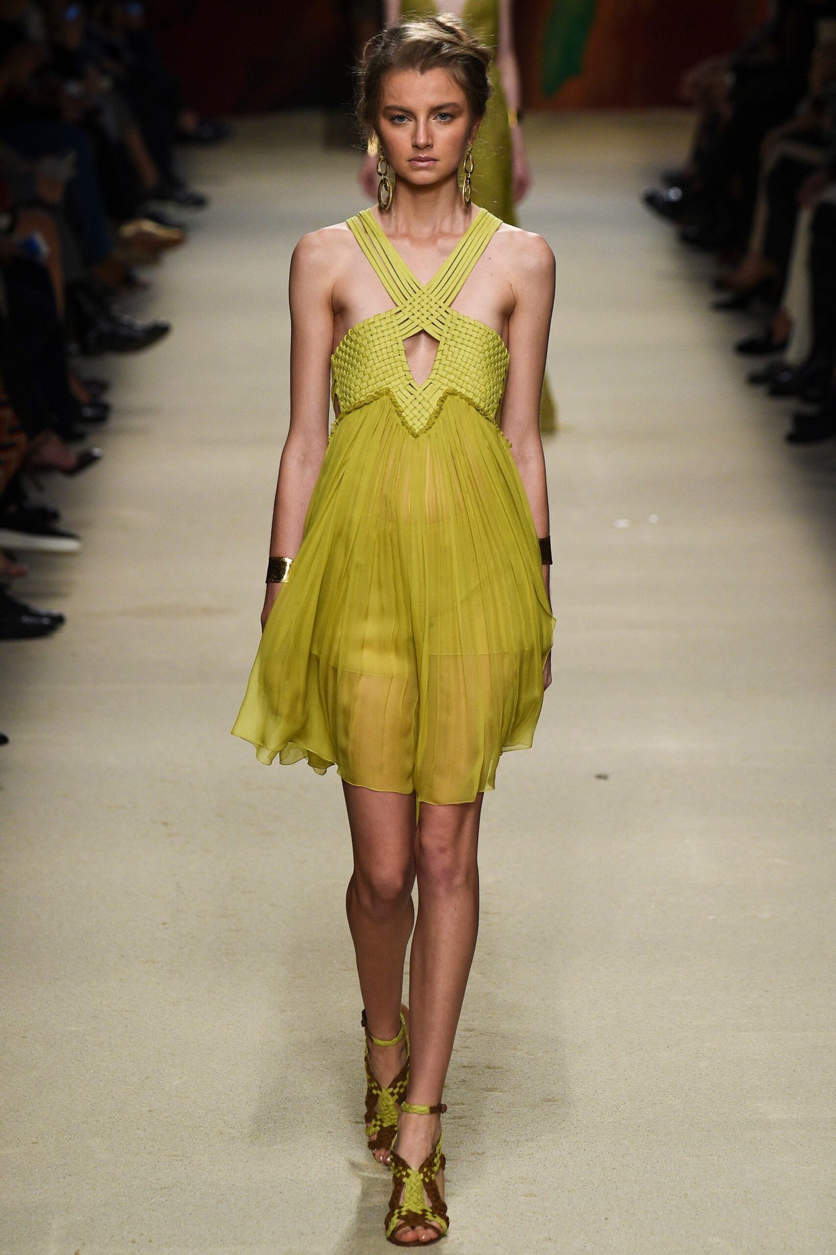 Alberta Ferretti S/S 16 Look 529