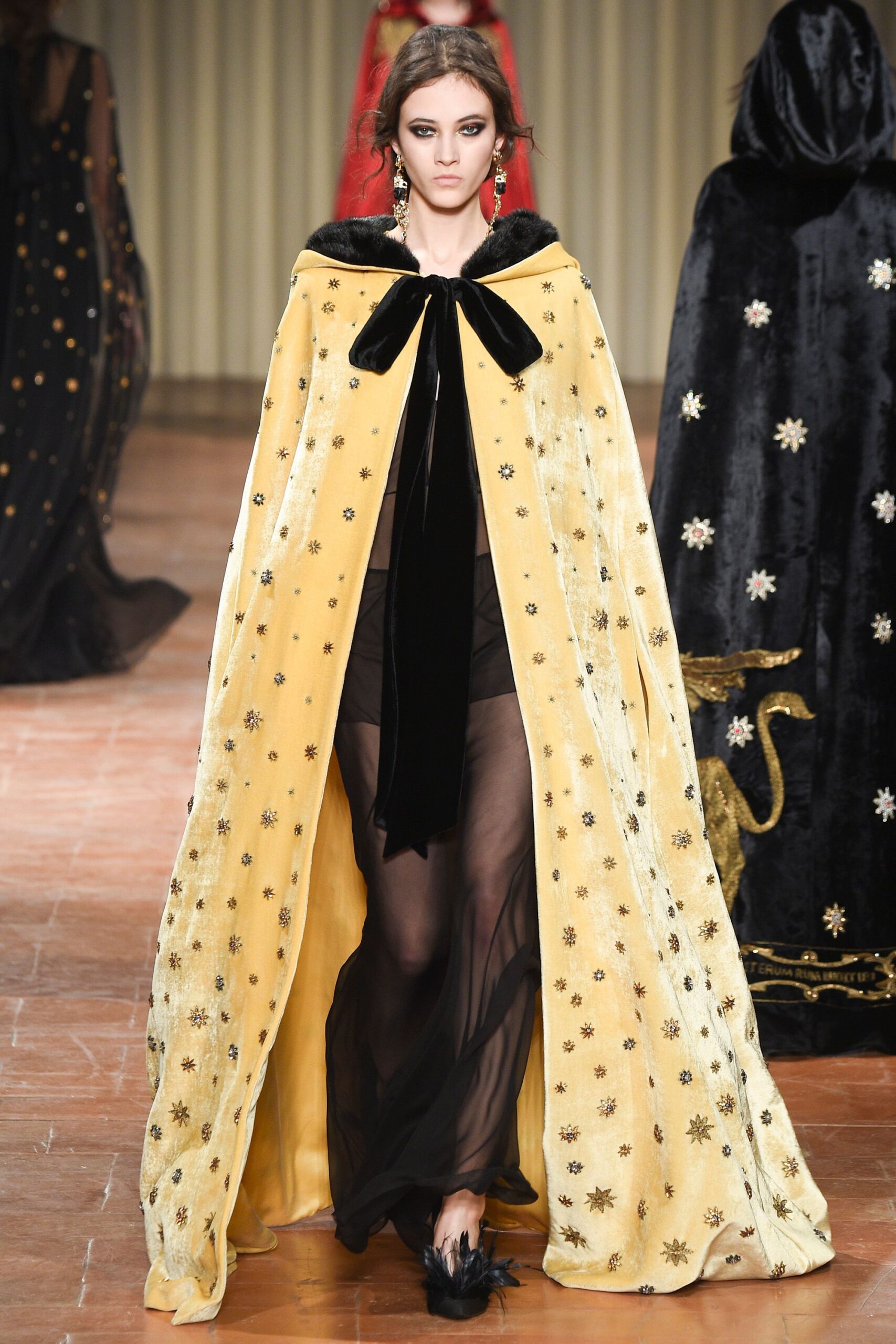 Alberta Ferretti F/W 17 Look 478