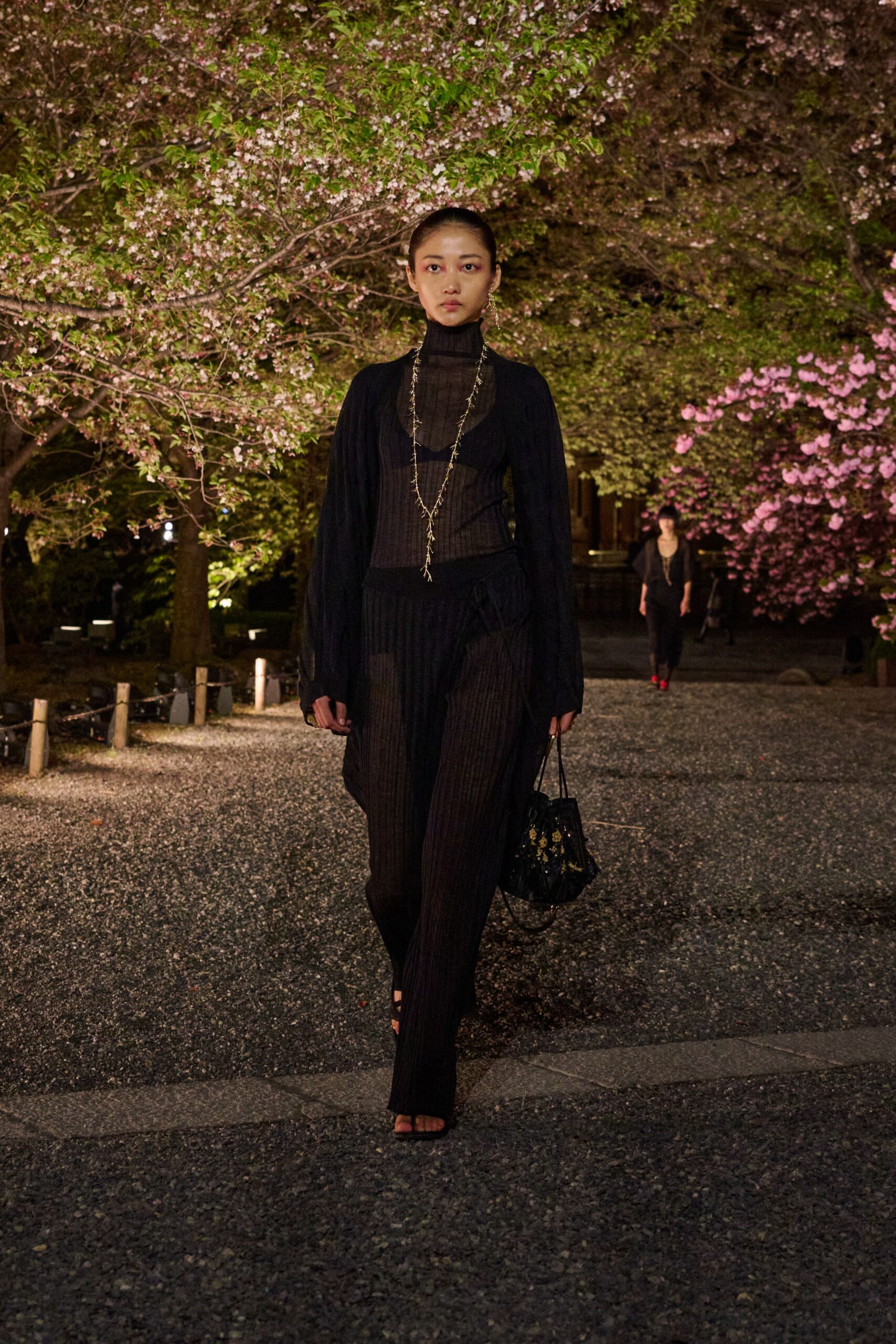 Christian Dior Pre-Fall 2025