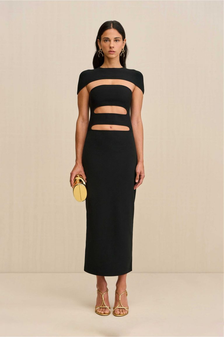Cult Gaia Pre-Fall 2025