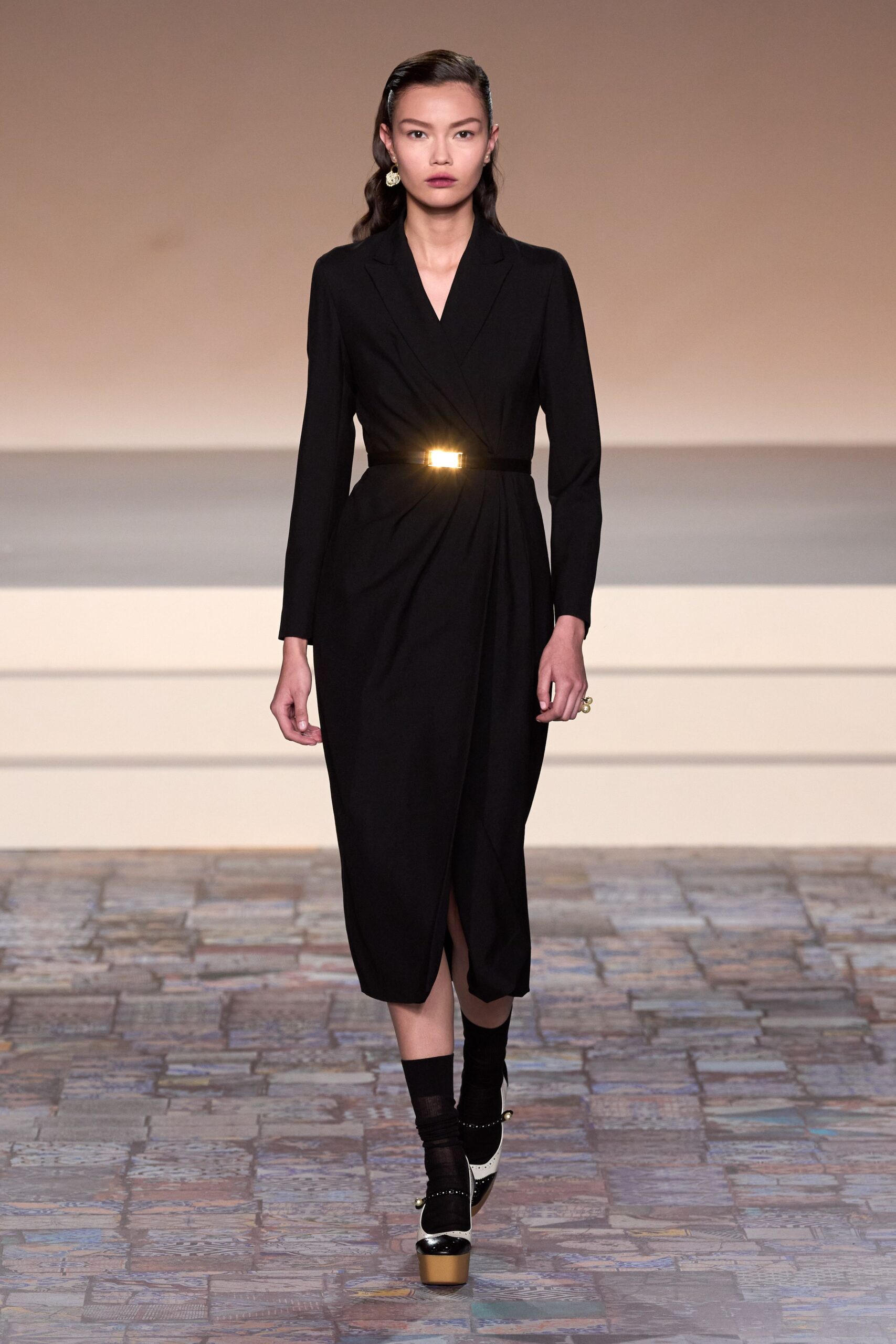 Christian Dior F/W 24 Look 101