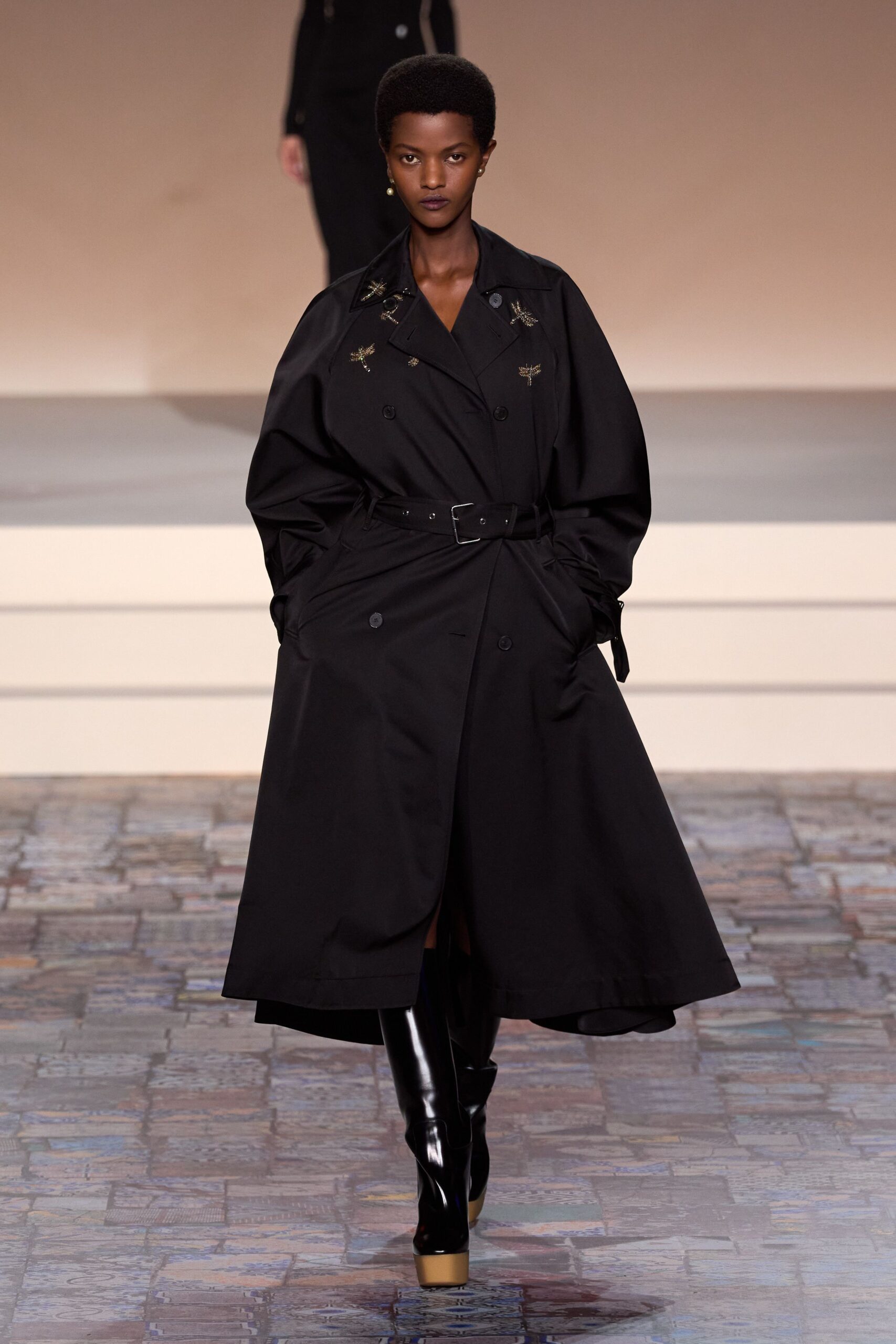 Christian Dior F/W 24 Look 189