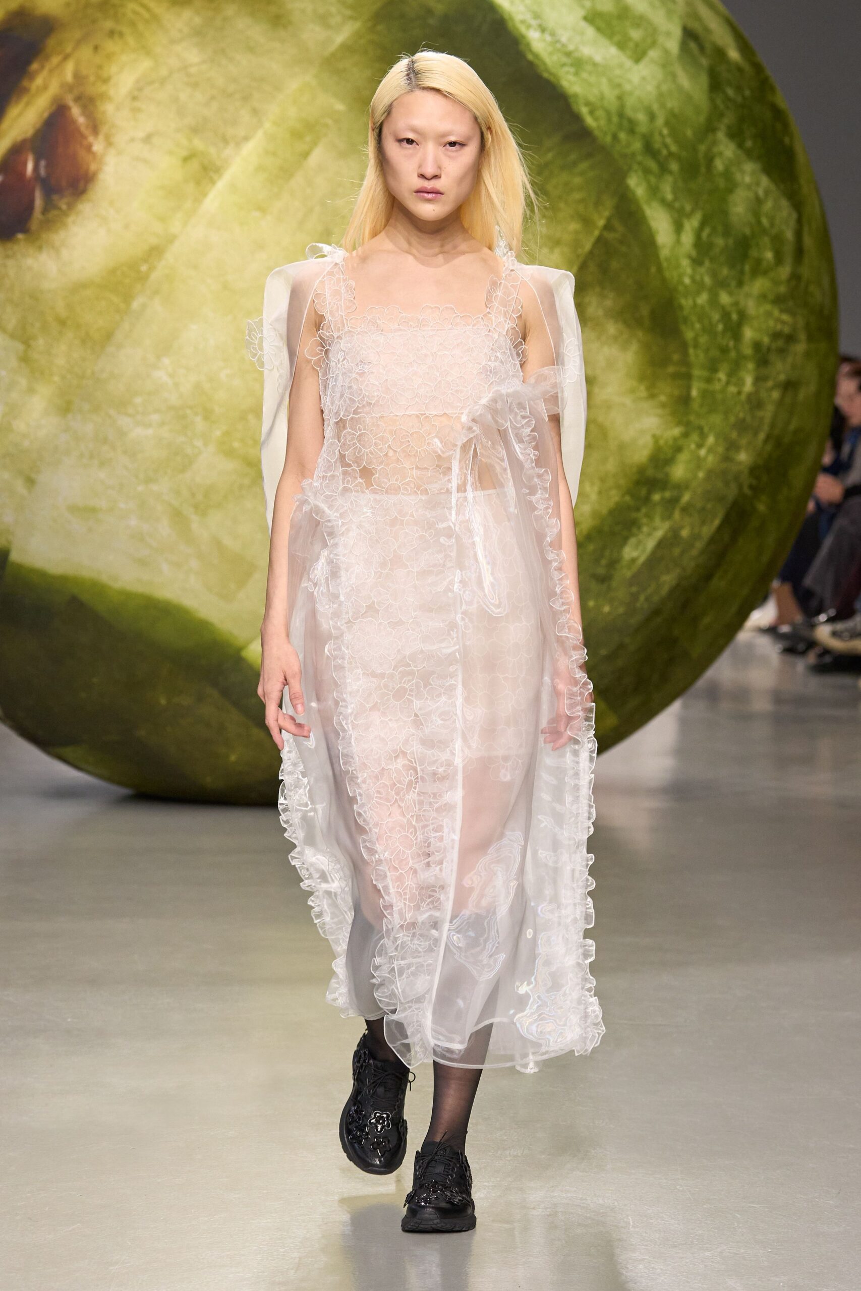 Cecilie Bahnsen F/W 24 Look 243