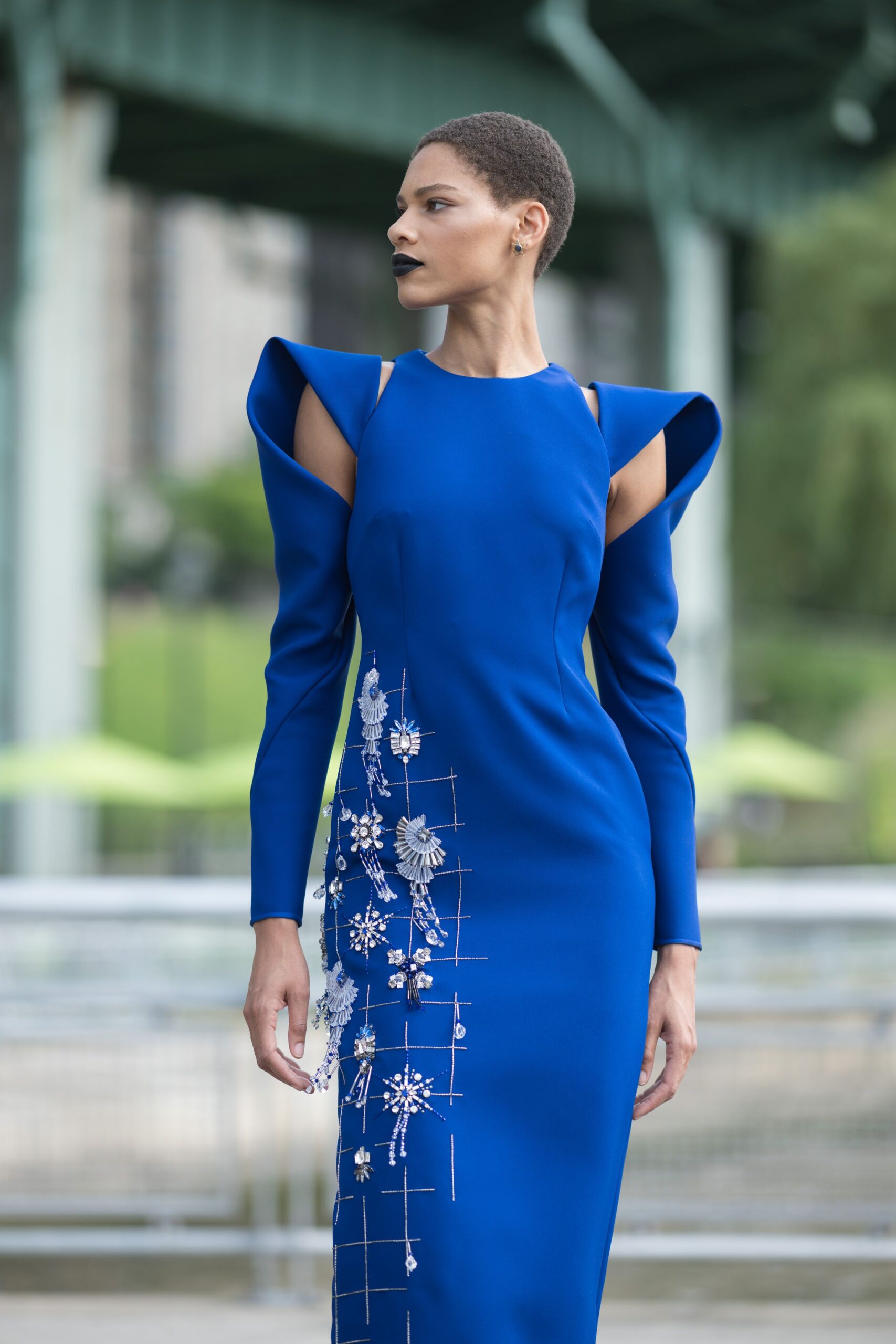 blue silk fitted gown