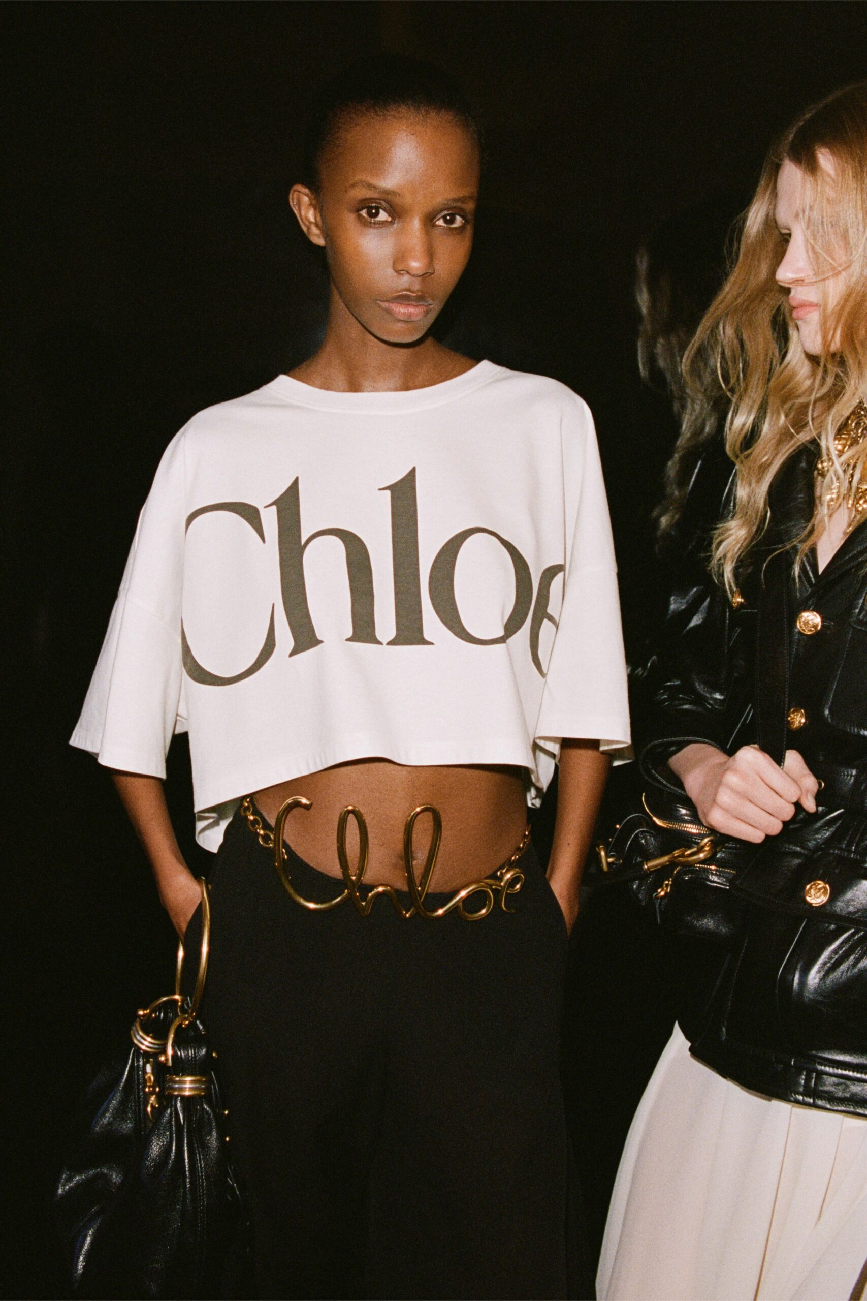 Chloé F/W 24 Look 309