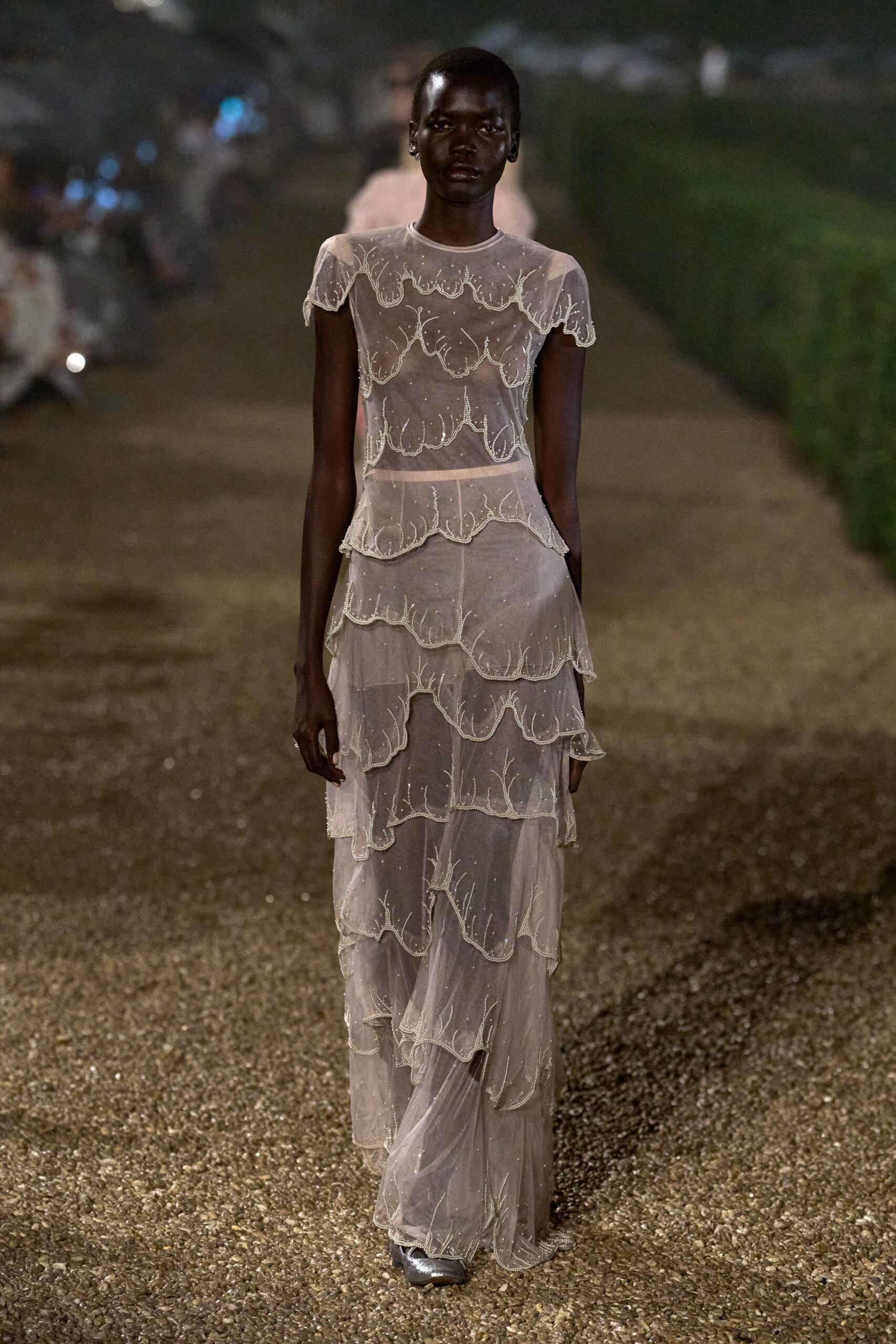 ivory sheer embroidered gown