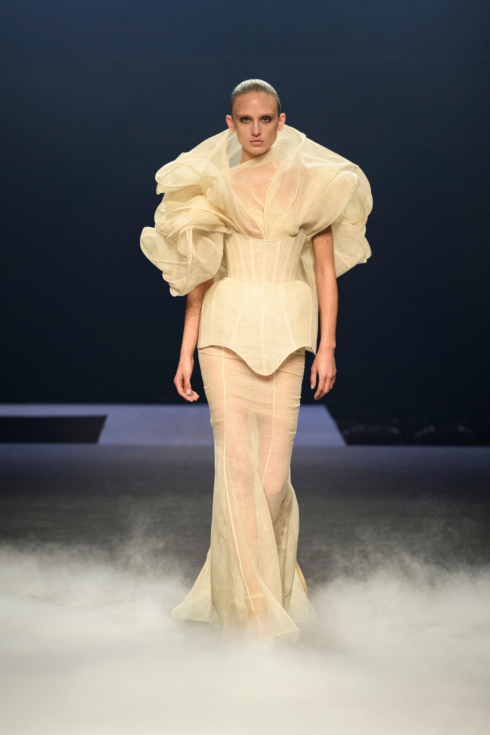 Ashi Studio F/W 23 Couture Look 259