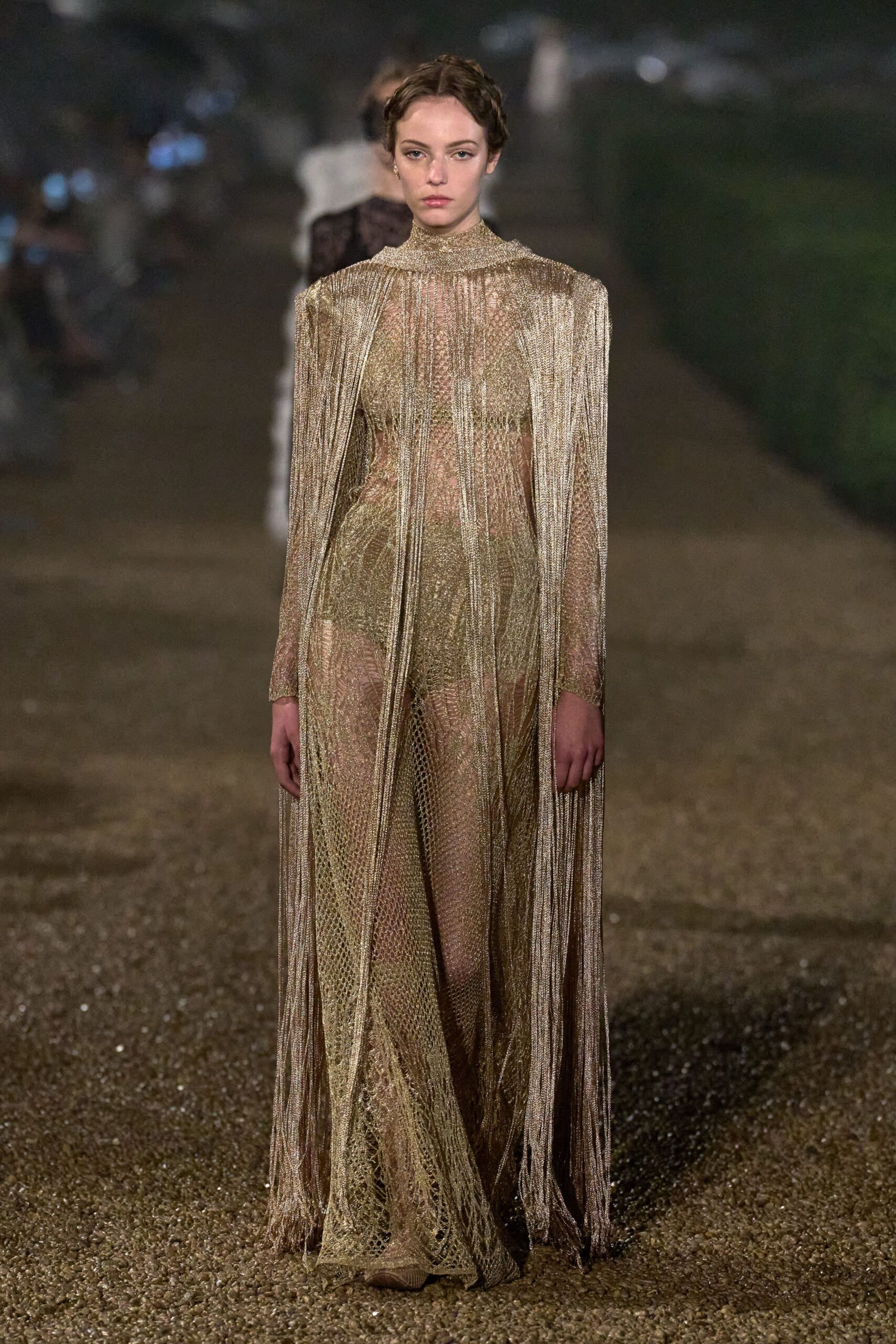 gold sheer fringed gown