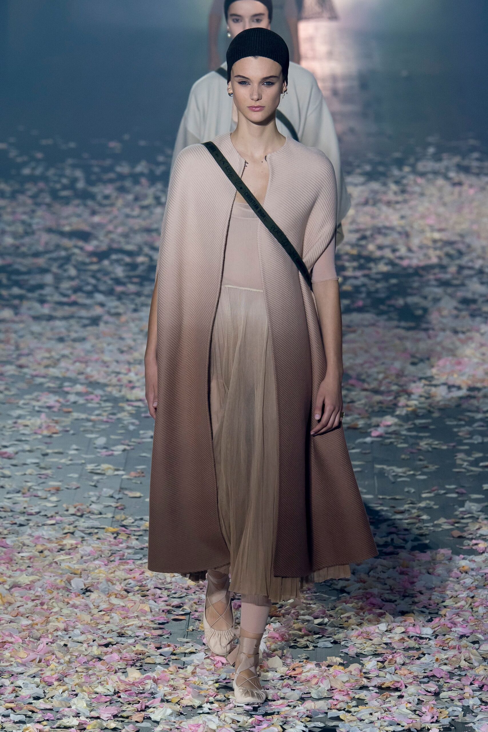 Christian Dior S/S 19 Look 512