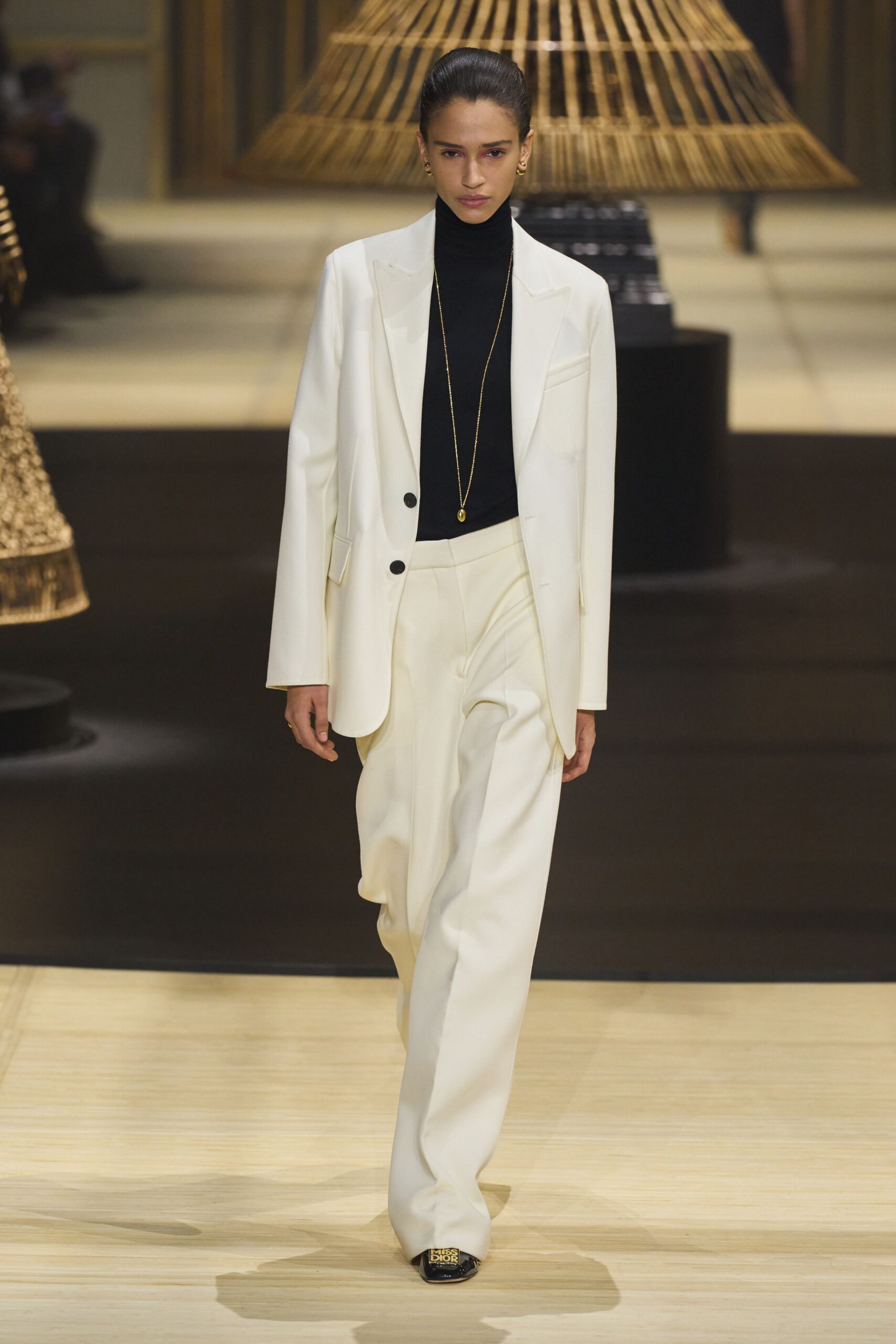 Christian Dior F/W 24 Look 508