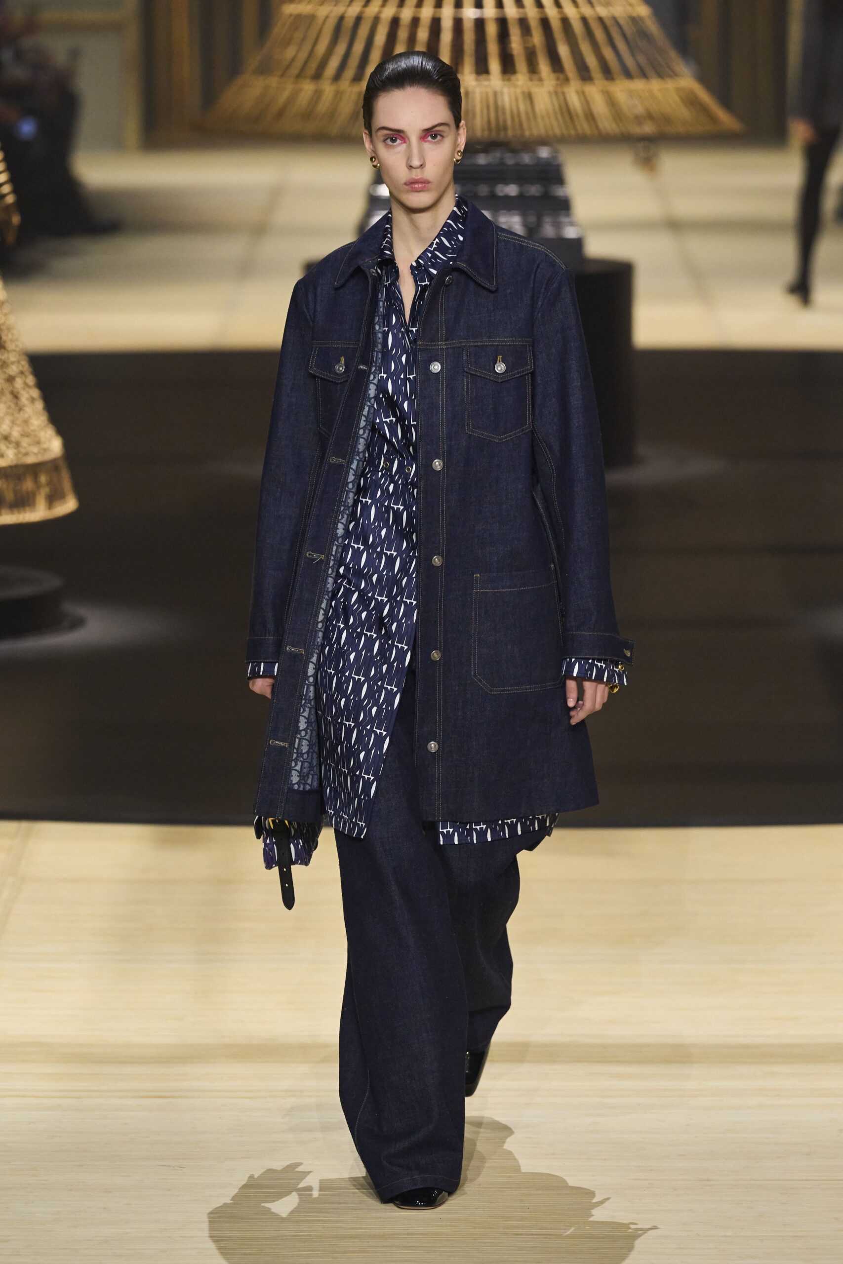 Christian Dior F/W 24 Look 735