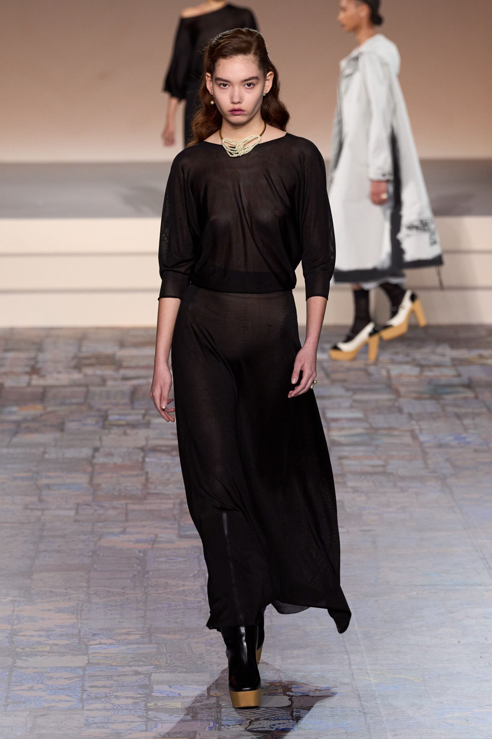 Christian Dior F/W 24 Look 739