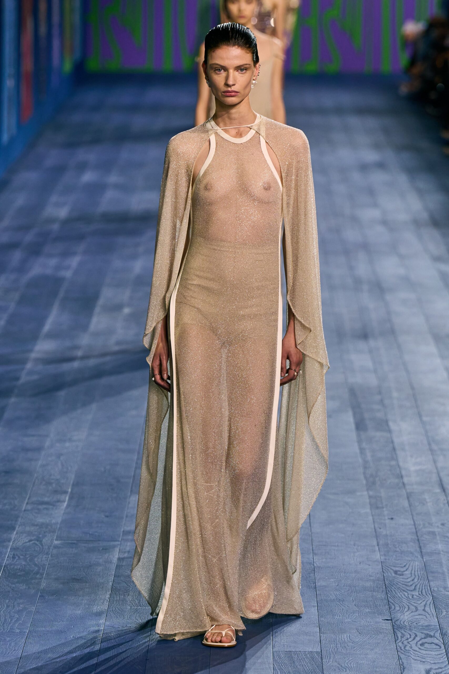 Christian Dior F/W 24 Couture Look 738