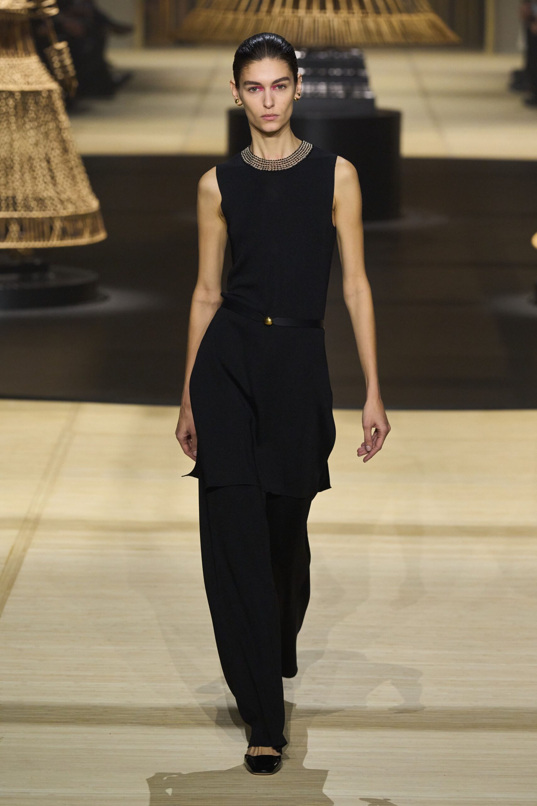 Christian Dior F/W 24 Look 839