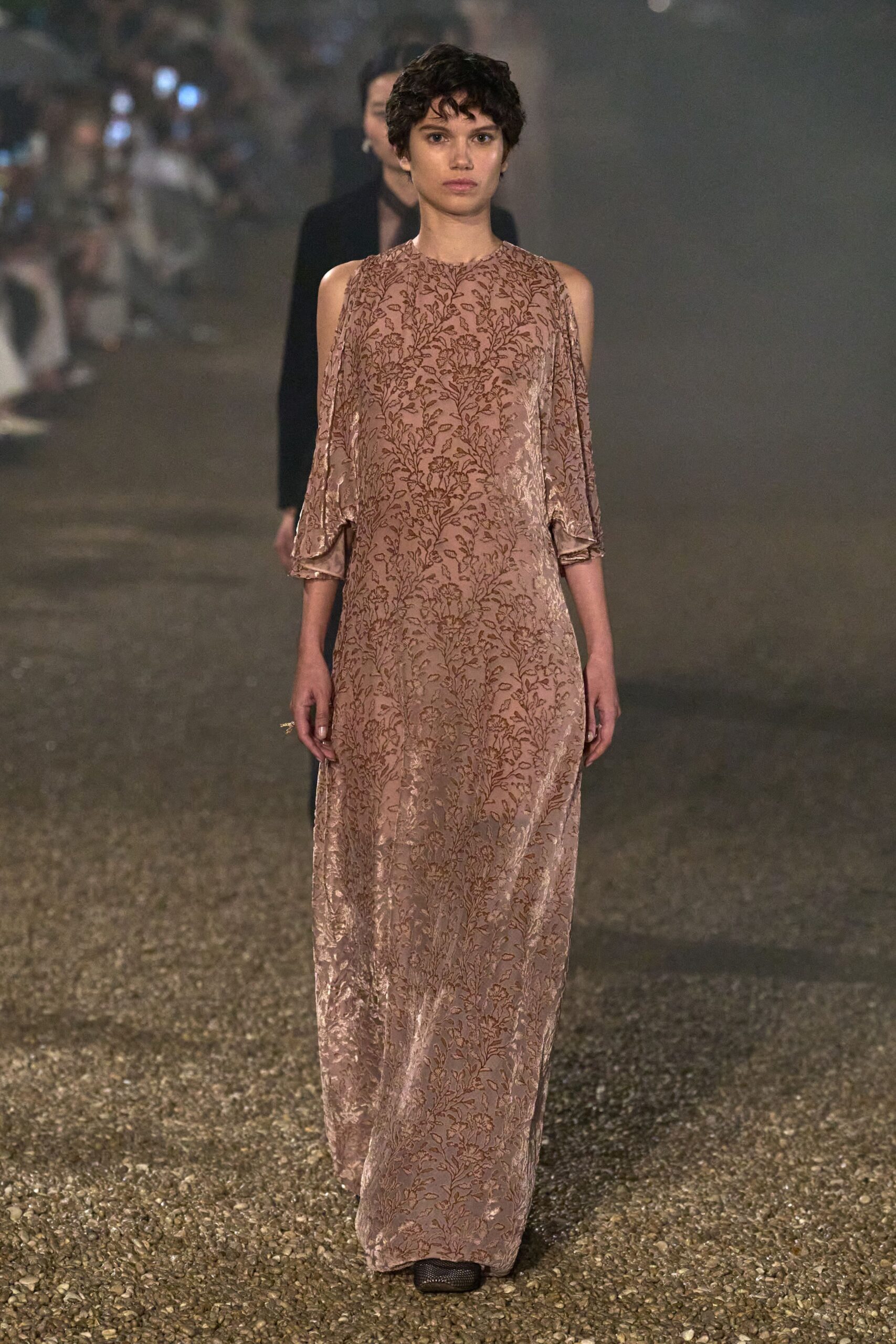 pink velvet embroidered gown