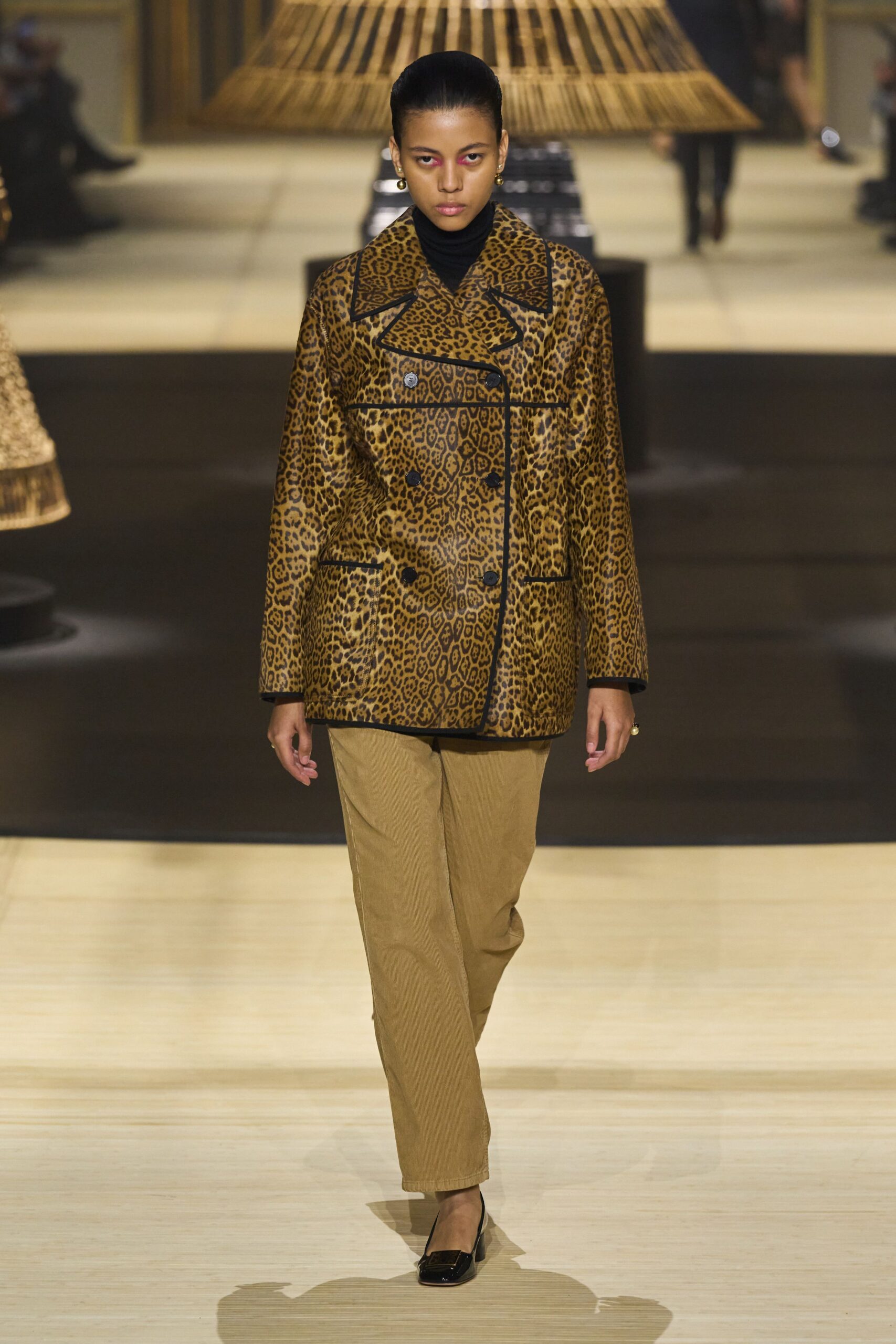 Christian Dior F/W 24 Look 896