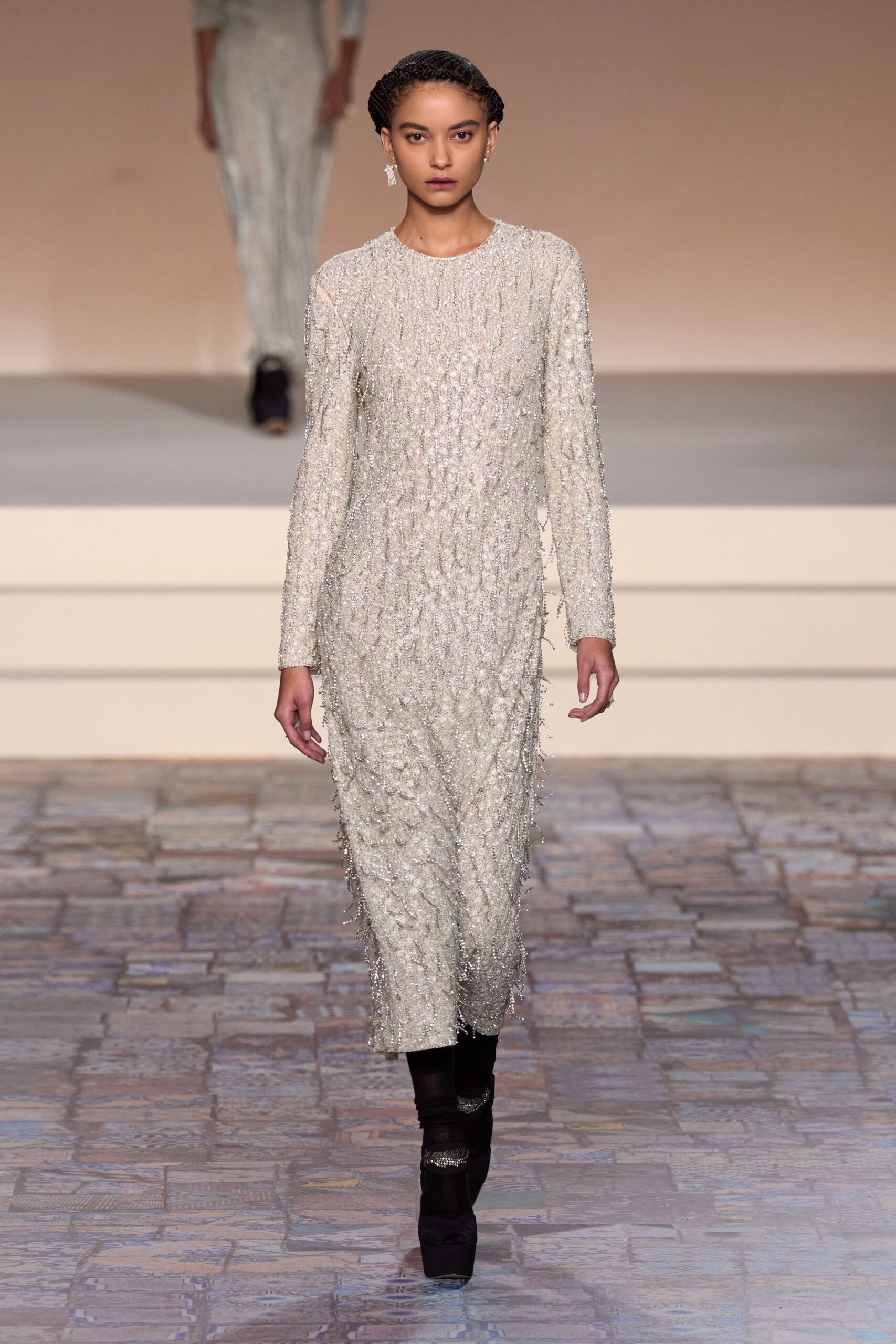 Christian Dior F/W 24 Look 939