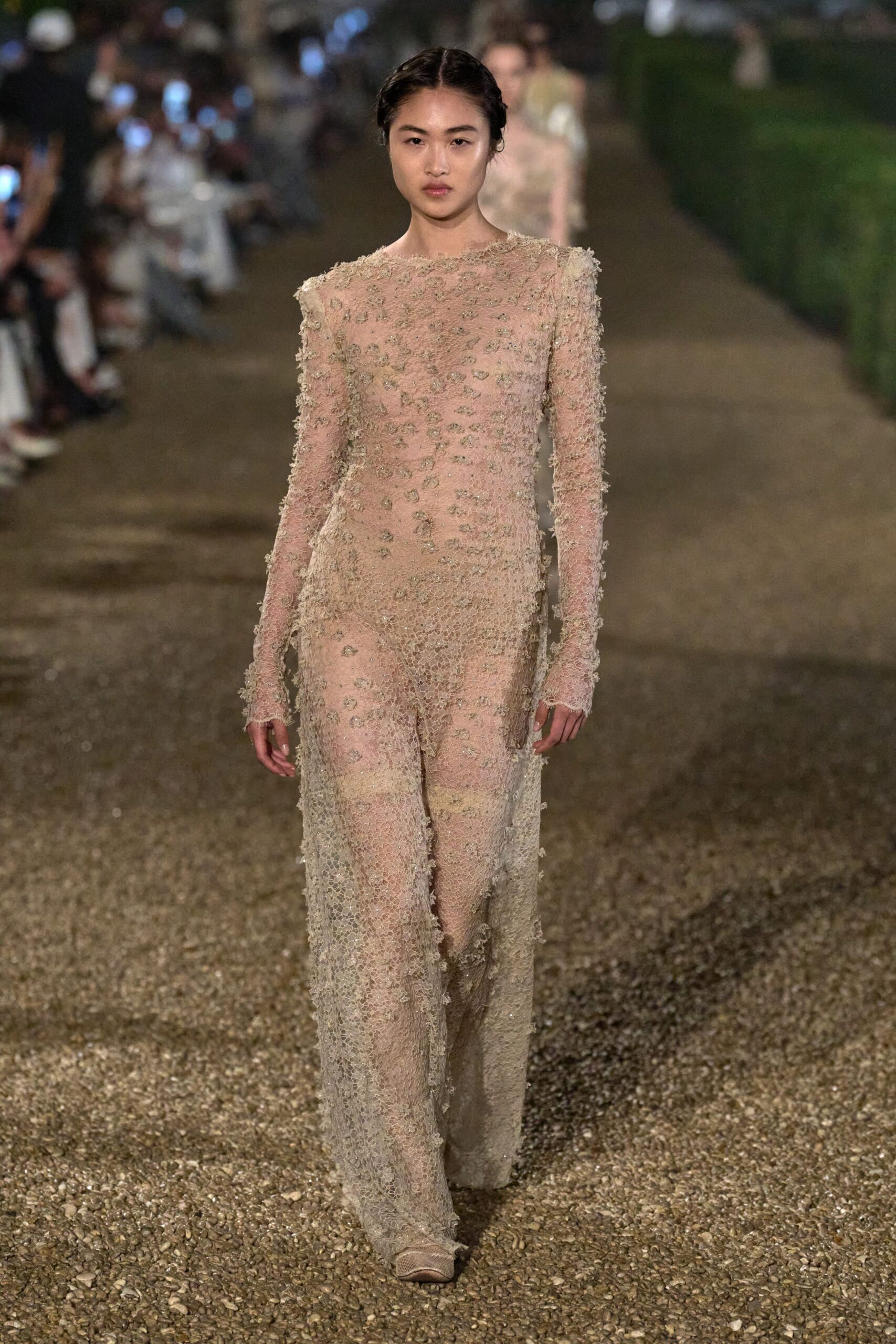 beige lace fitted gown