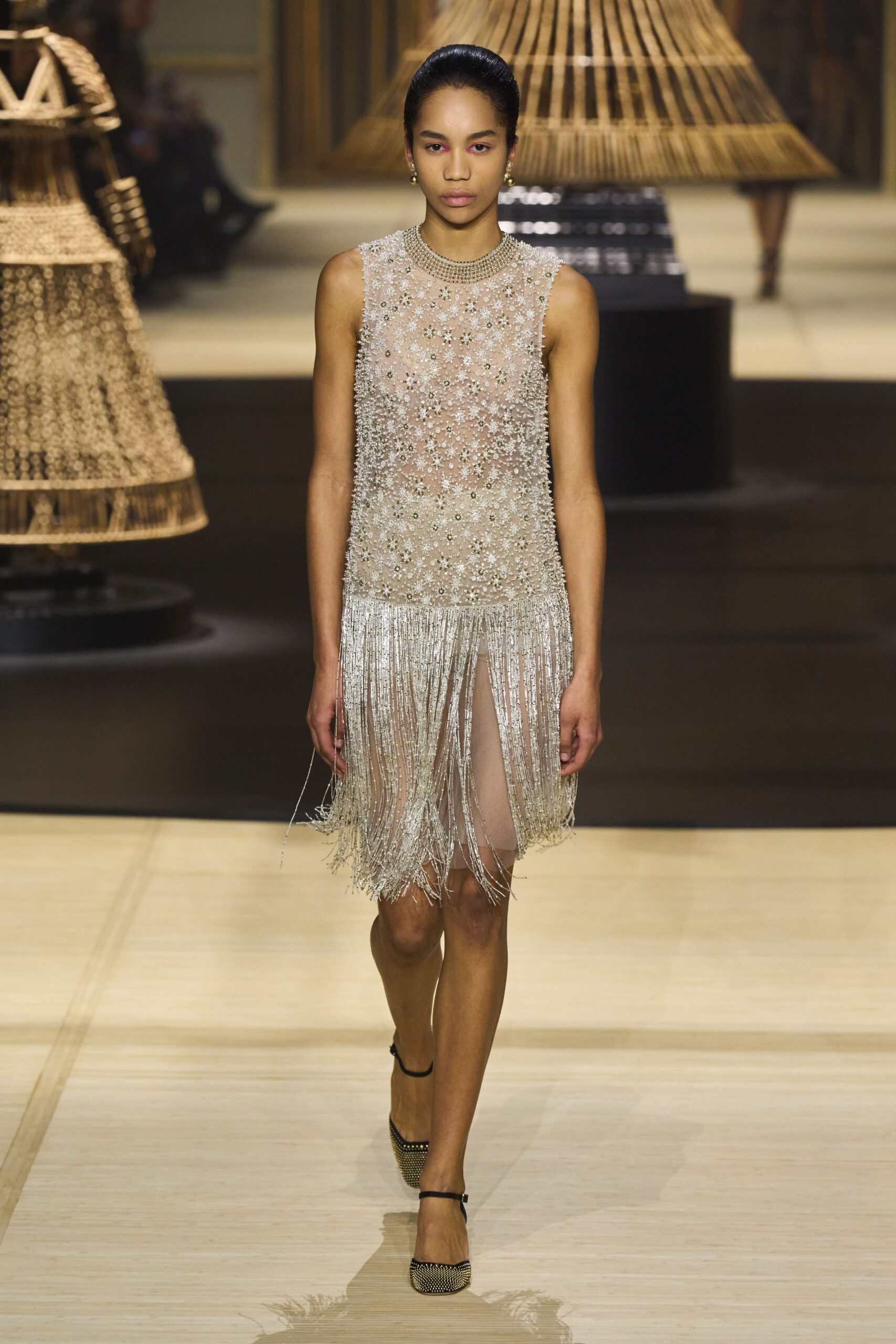 Christian Dior F/W 24 Look 1001