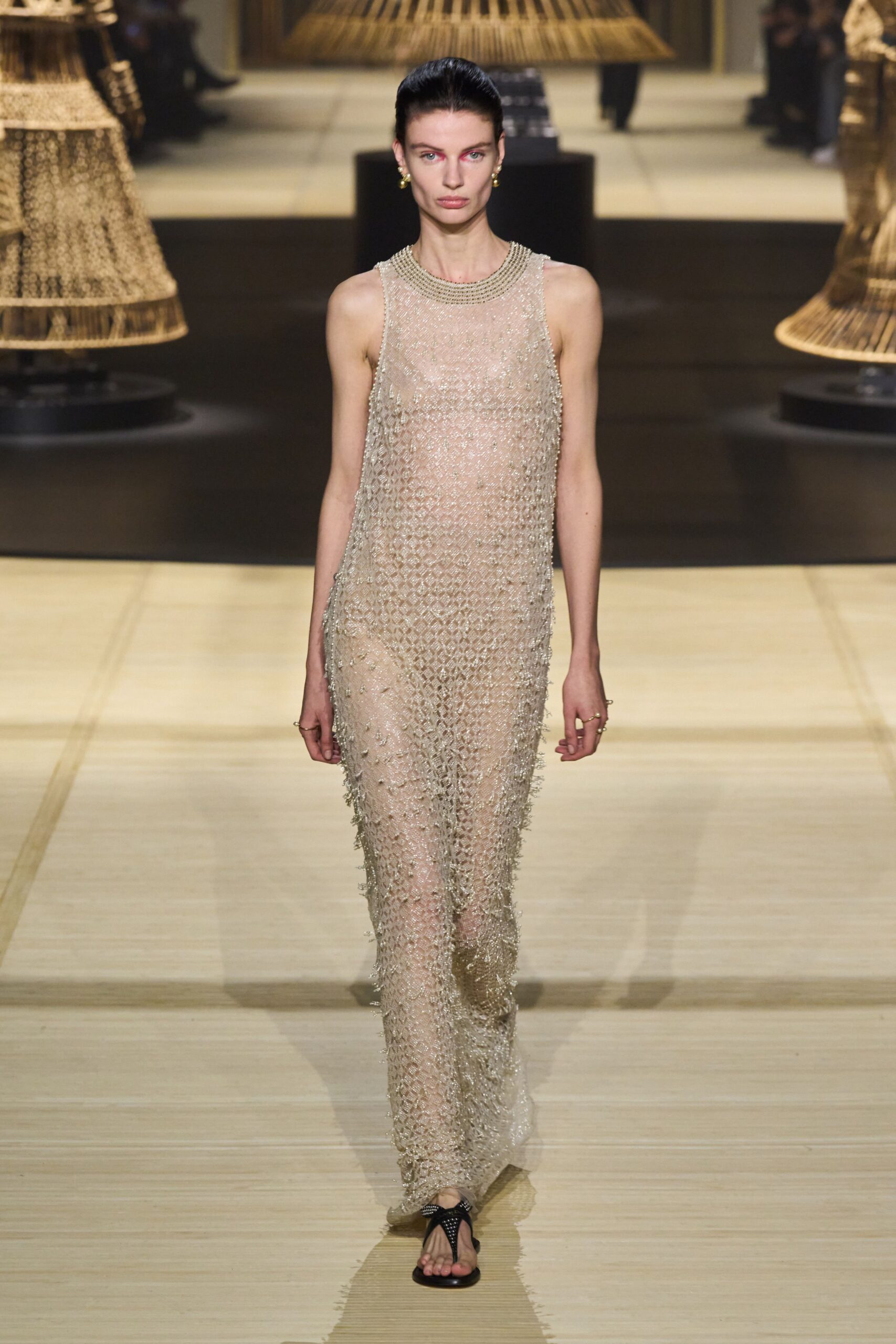 Christian Dior F/W 24 Look 1020