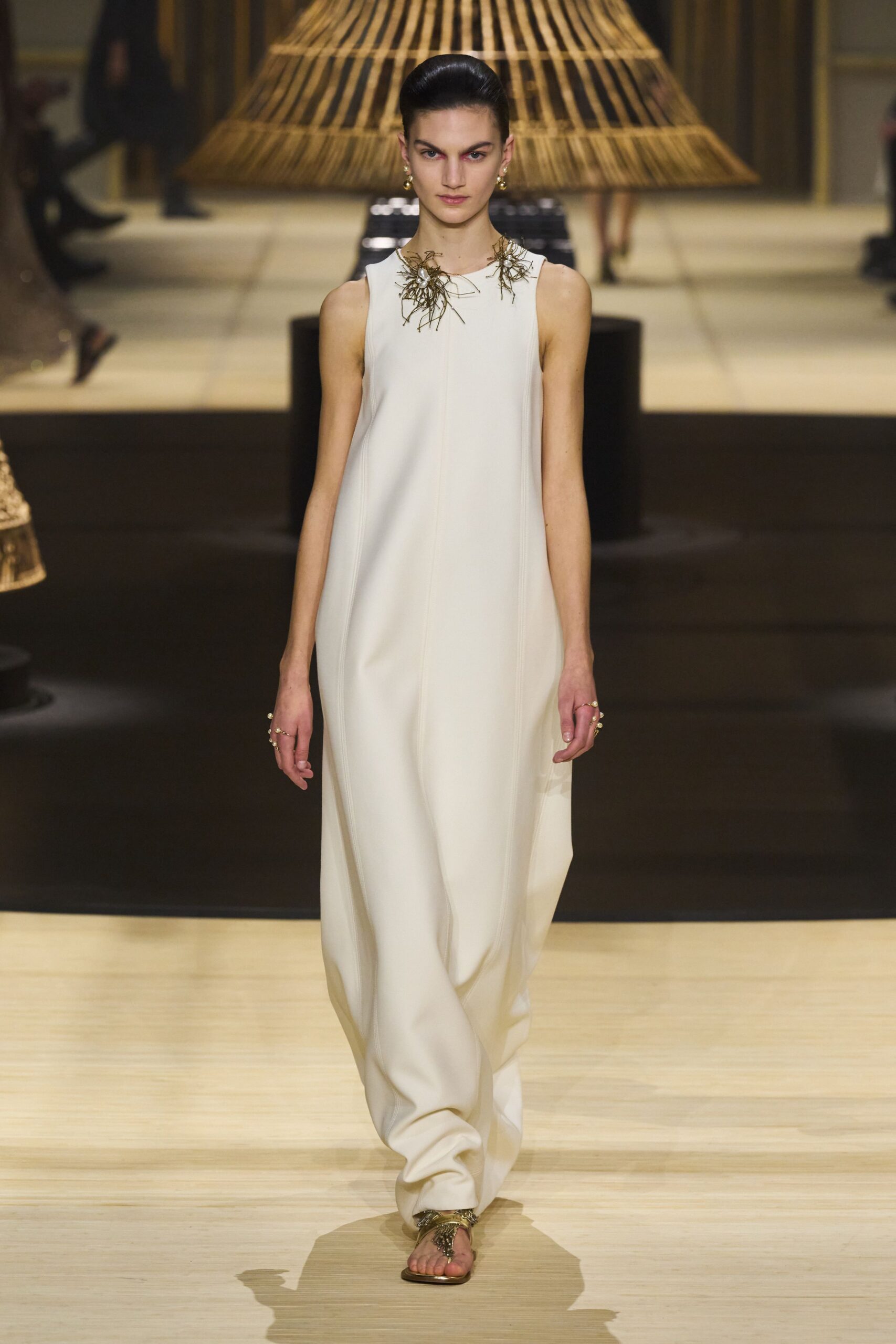 Christian Dior F/W 24 Look 1038