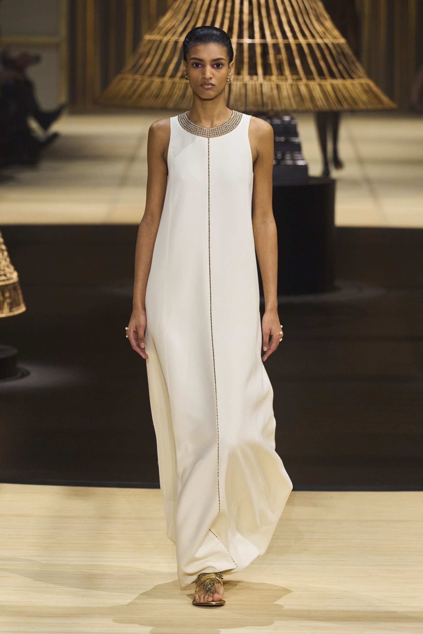 Christian Dior F/W 24 Look 1039