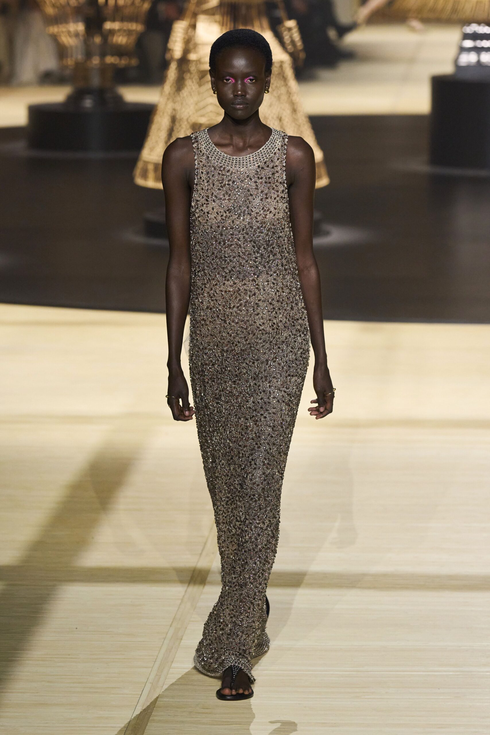 Christian Dior F/W 24 Look 1059