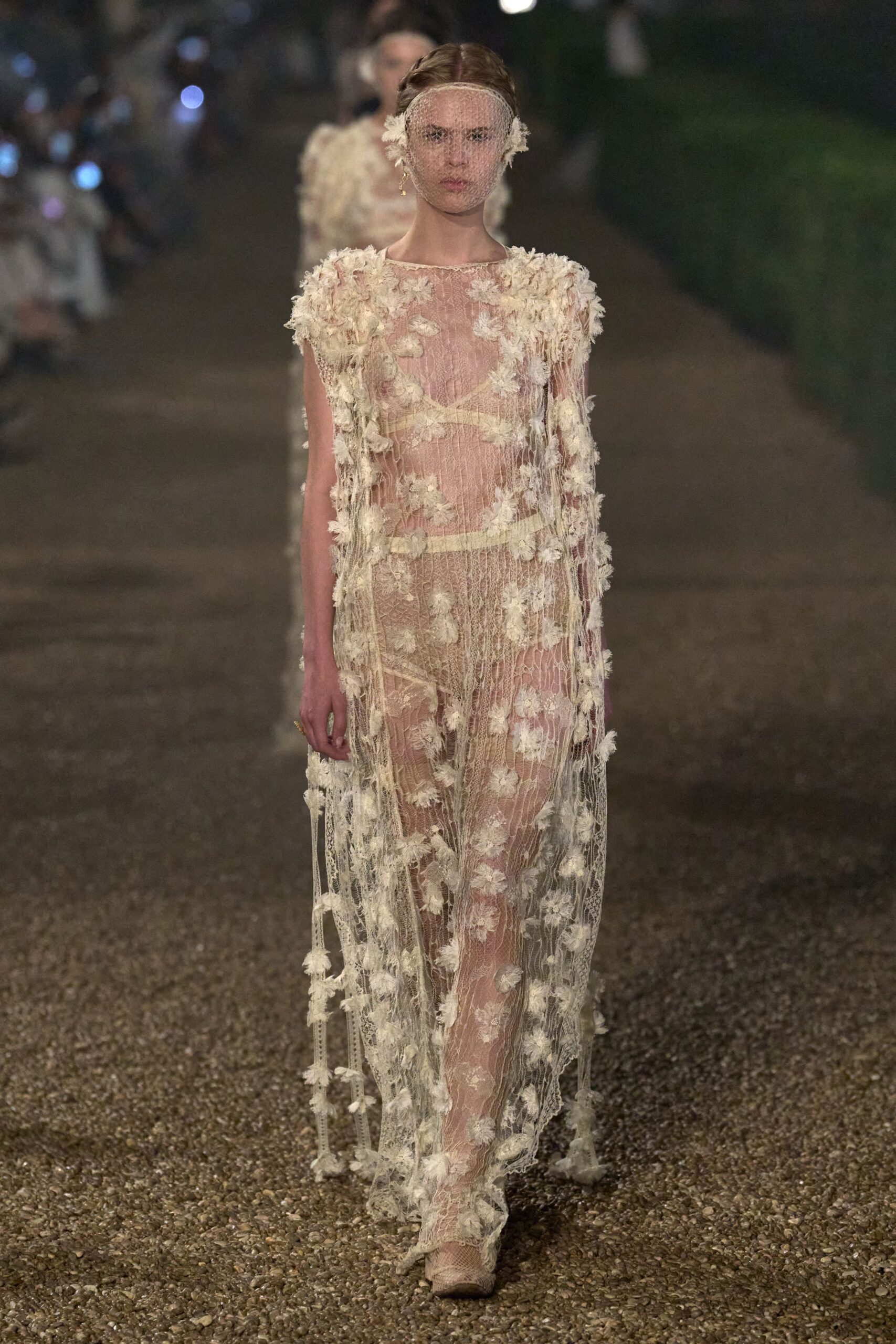 beige lace embroidered gown