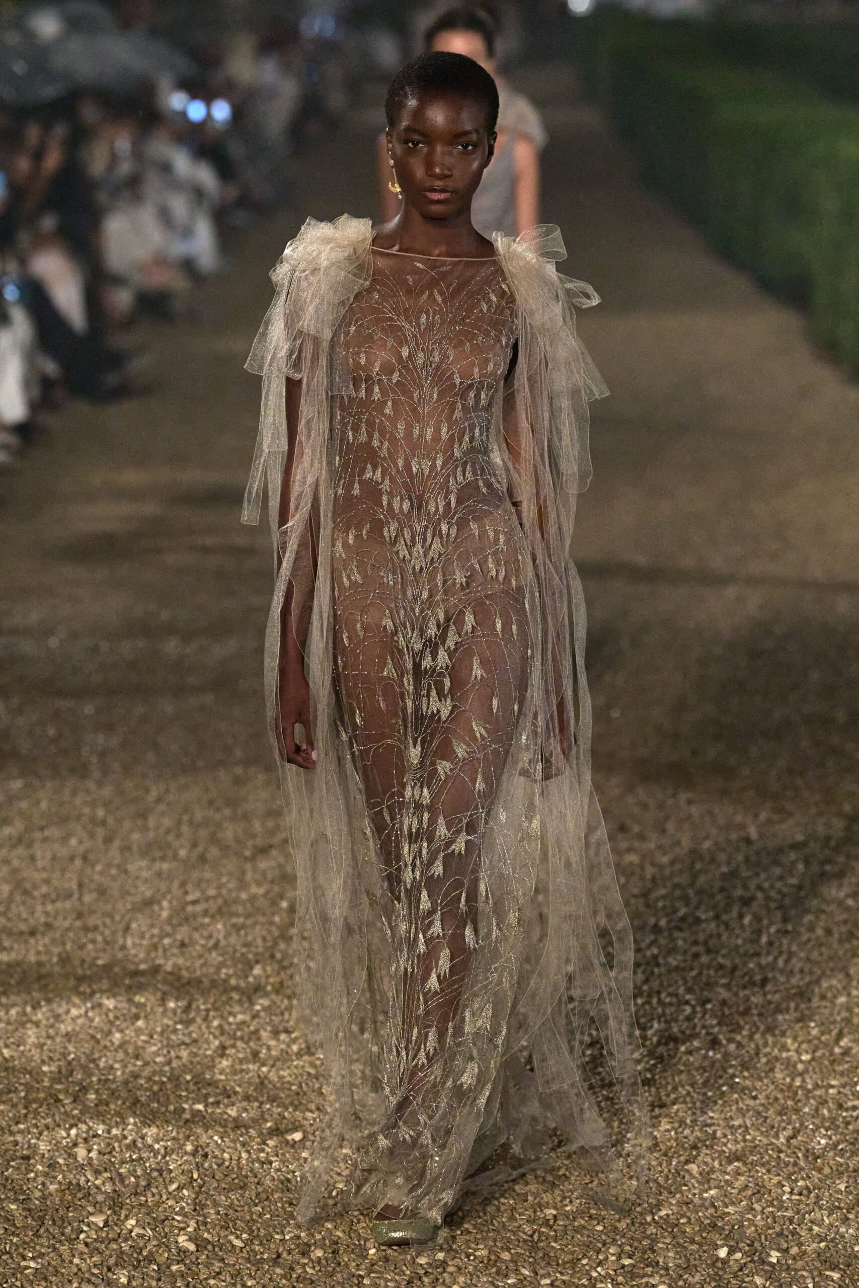beige sheer embroidered gown