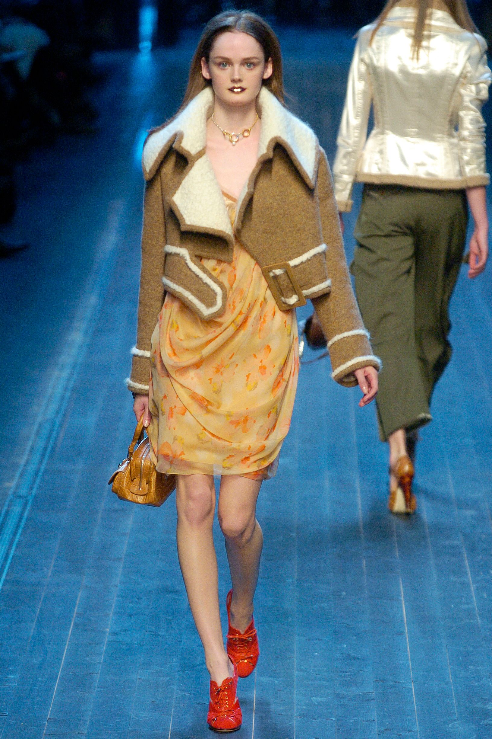 Christian Dior F/W 05 Look 343