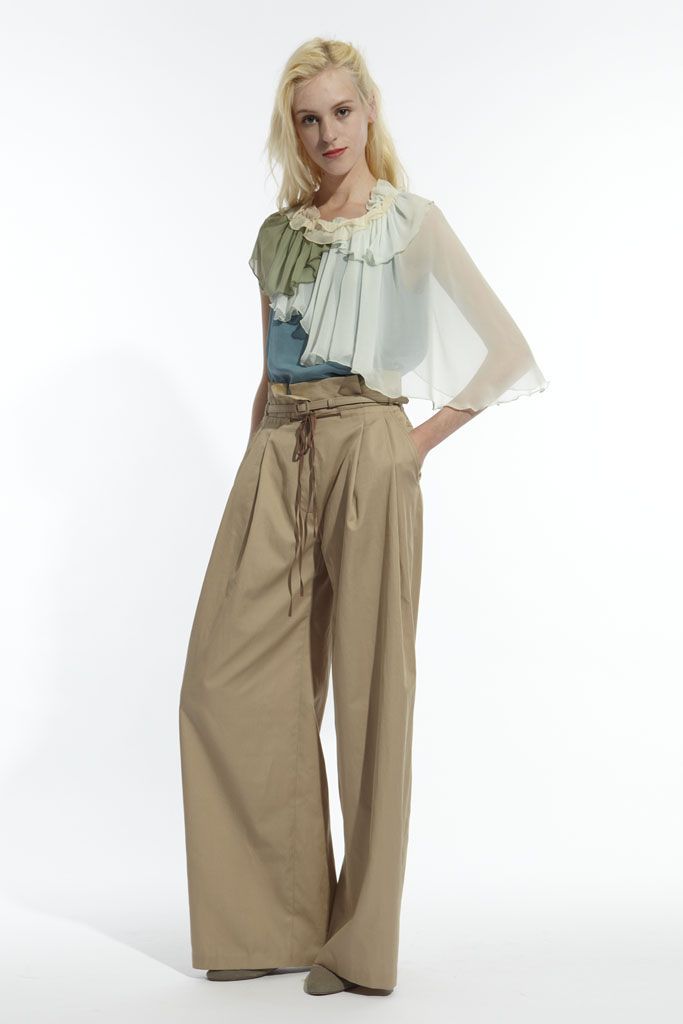ruffled sheer chiffon blouse