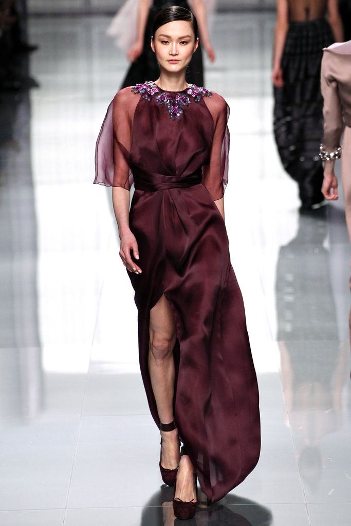 Christian Dior F/W 12 Look 294