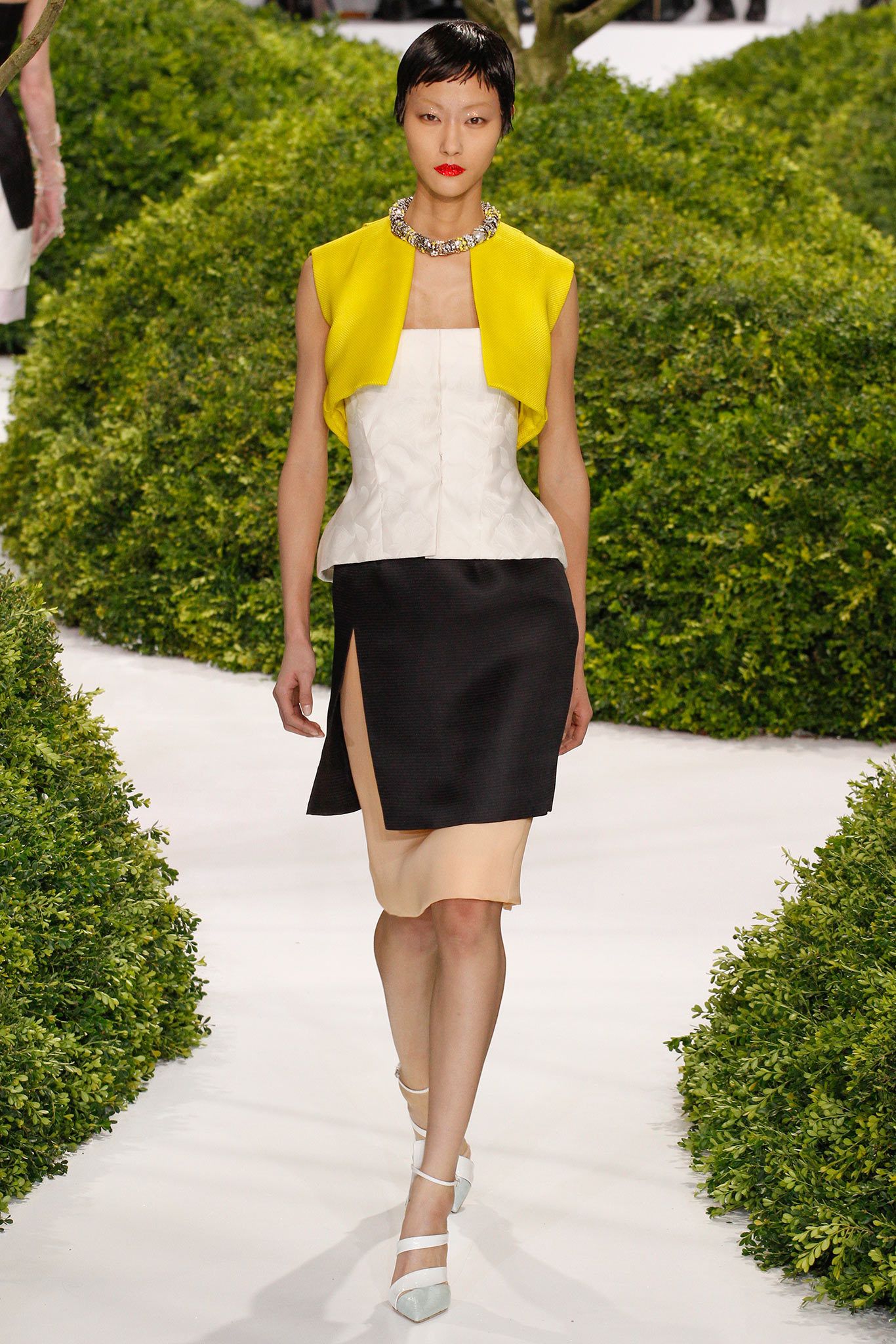 Christian Dior S/S 13 Couture Look 246