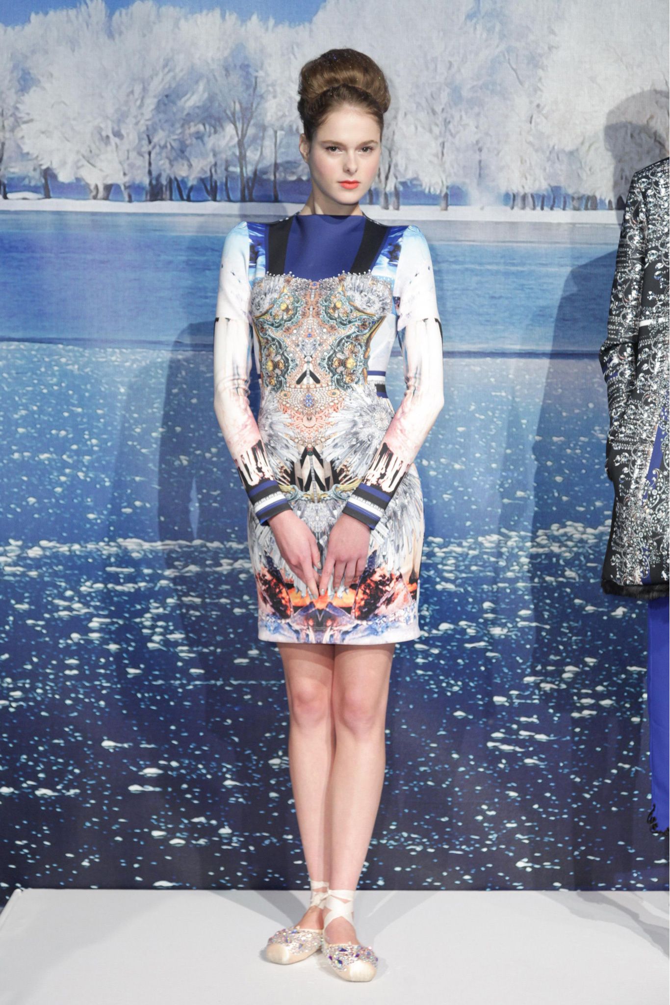 Clover Canyon Fall 2013 Ready-to-Wear