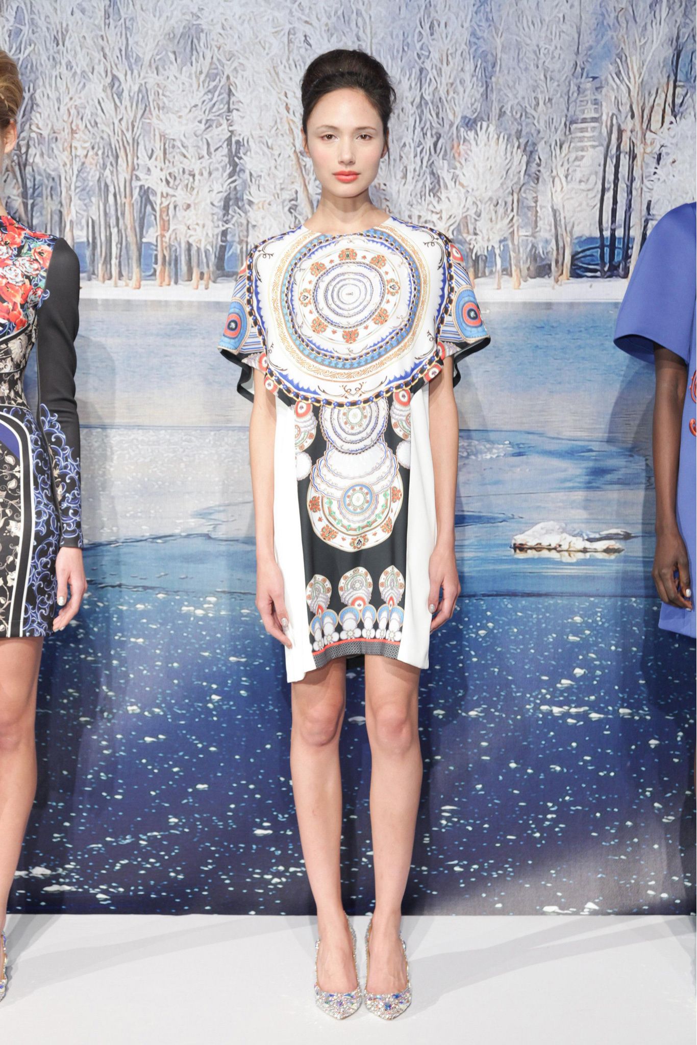 Clover Canyon F/W 13 Look 38