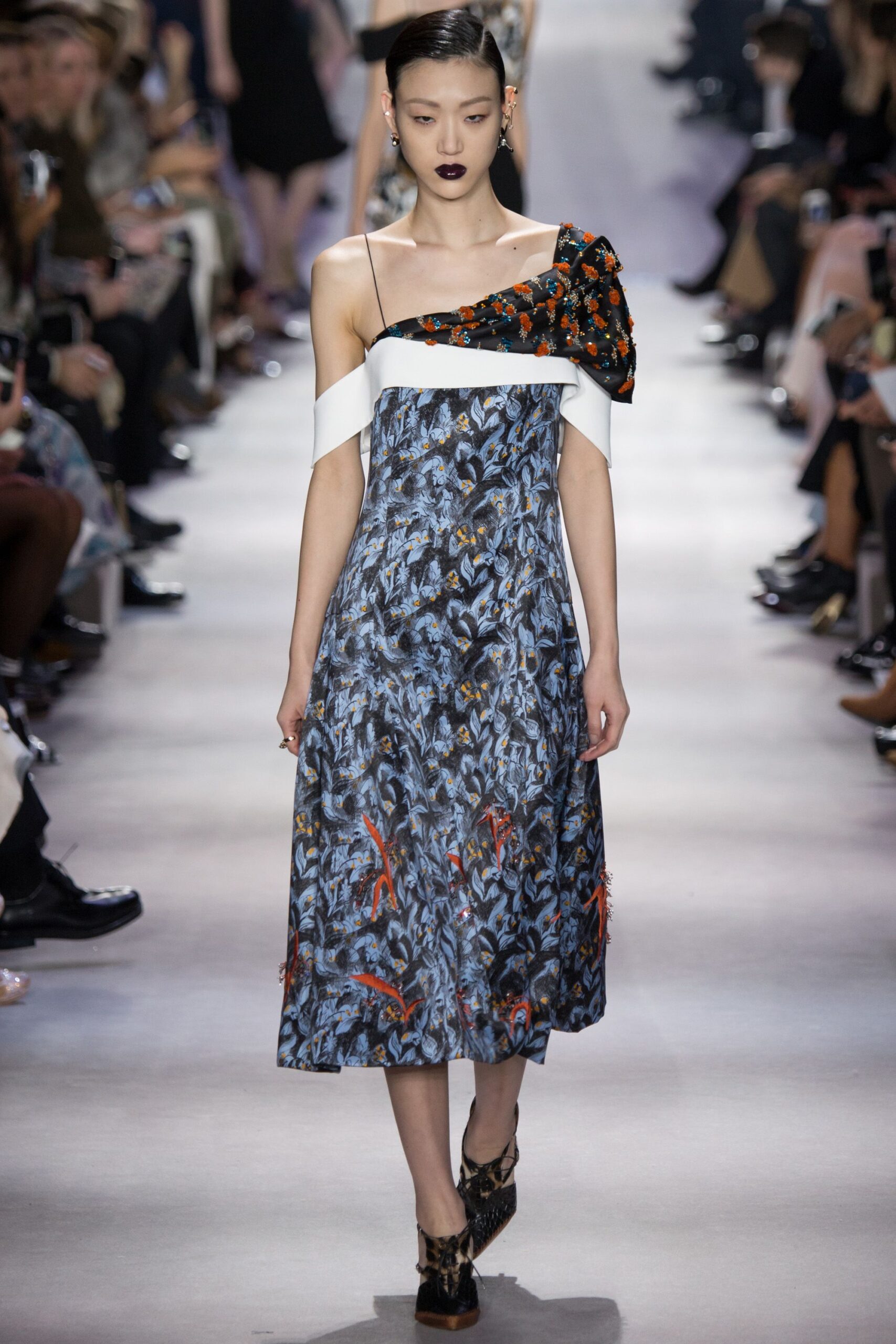 Christian Dior F/W 16 Look 646