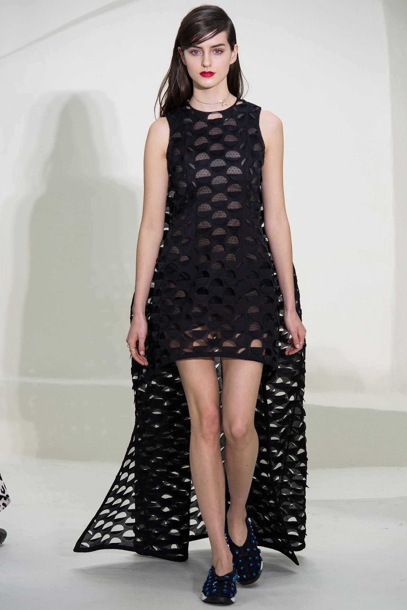 Christian Dior S/S 14 Couture Look 143